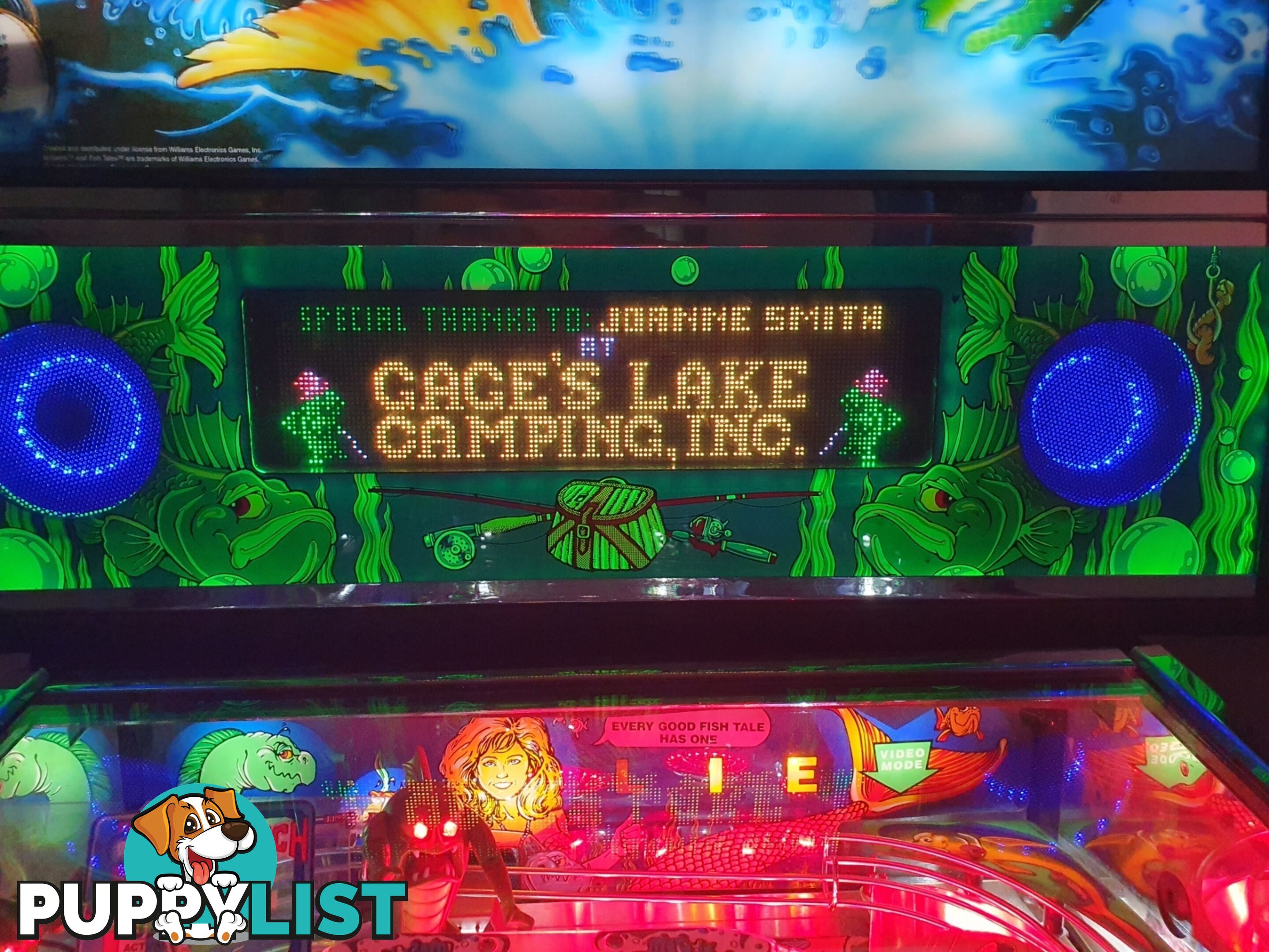 Fish Tales Pinball Machine NEW COLOR DMD