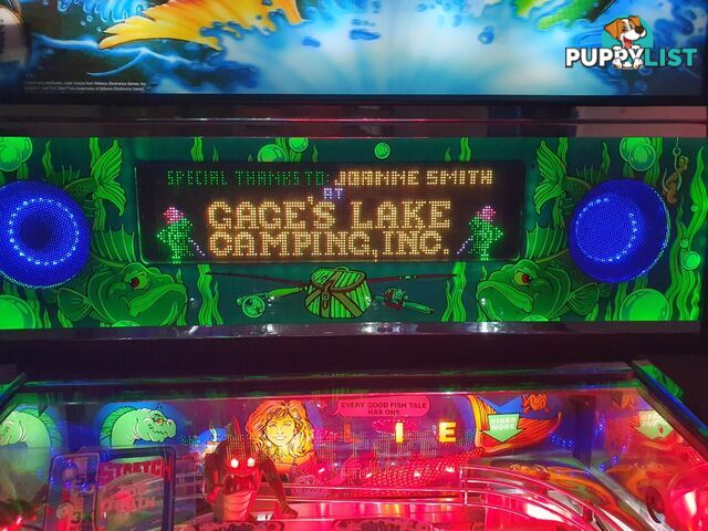 Fish Tales Pinball Machine NEW COLOR DMD