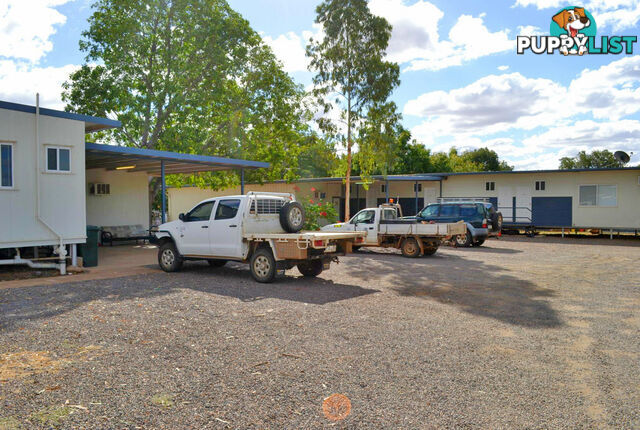 55 Mckinlay Street Cloncurry QLD 4824