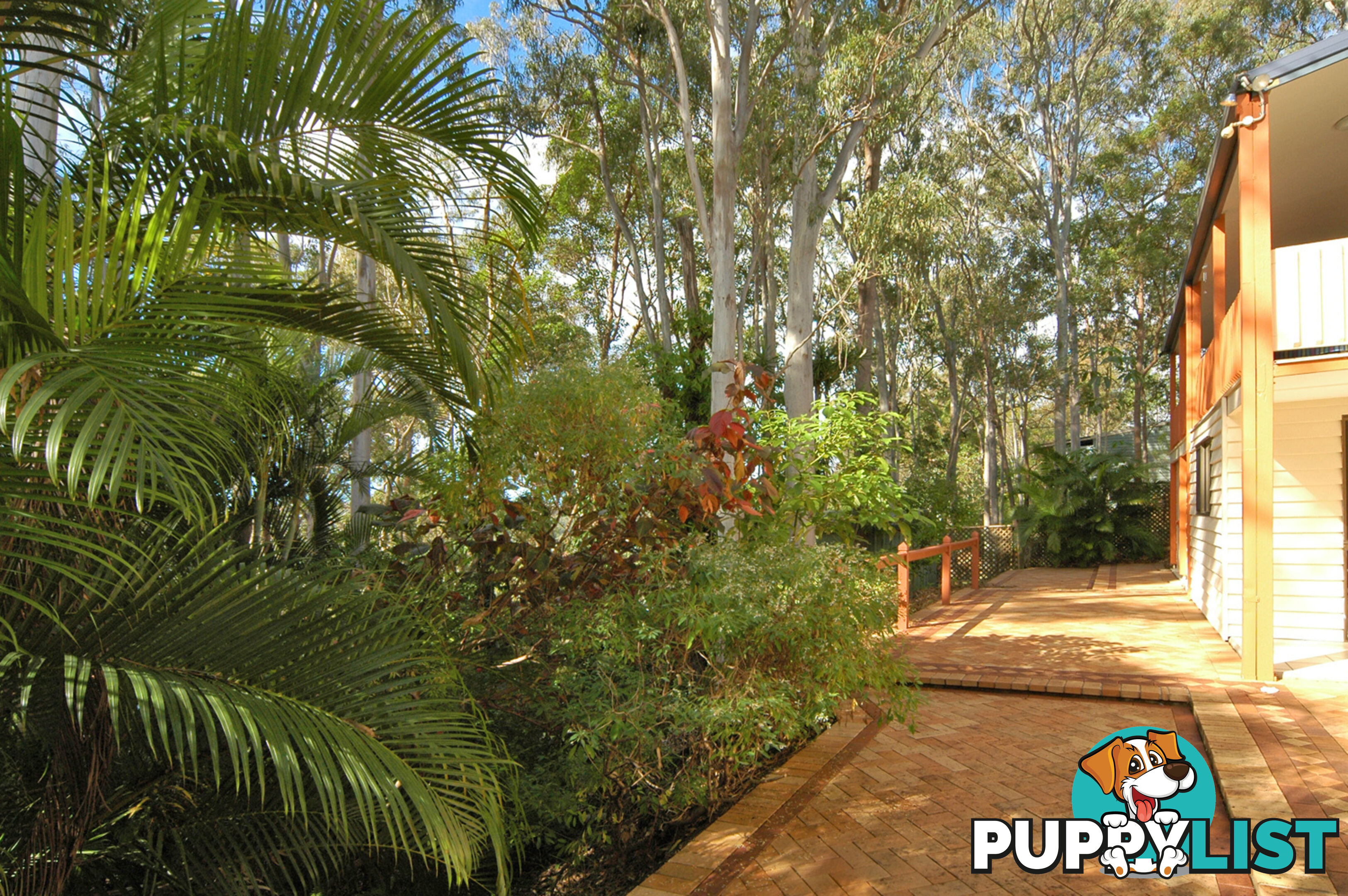 23 Illuka St Buderim QLD 4556