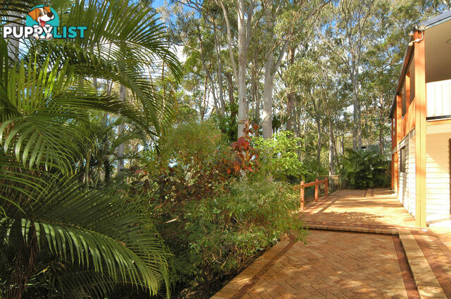 23 Illuka St Buderim QLD 4556