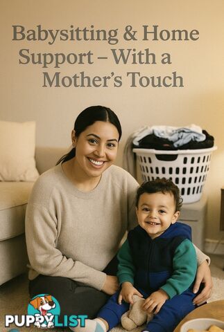 Wanted: Baby sitter and home support