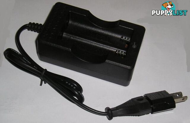 Charger for type 18650 Batteries