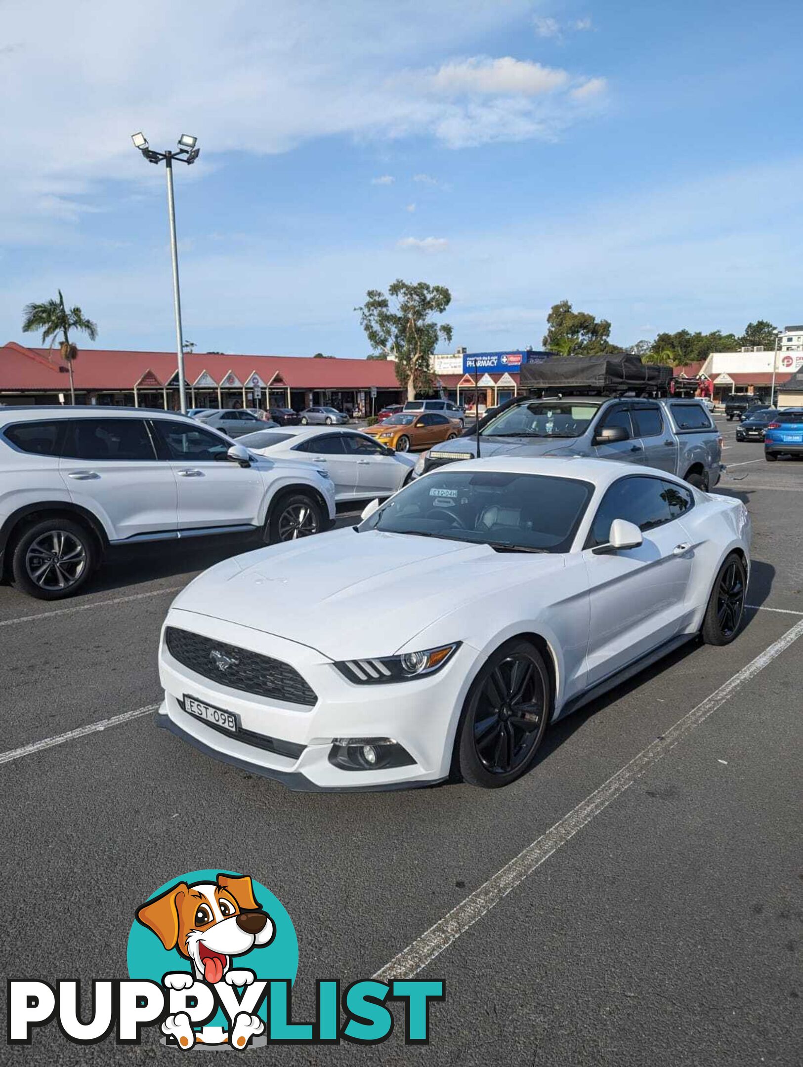 2017 Ford Mustang FM MY17 Coupe Manual