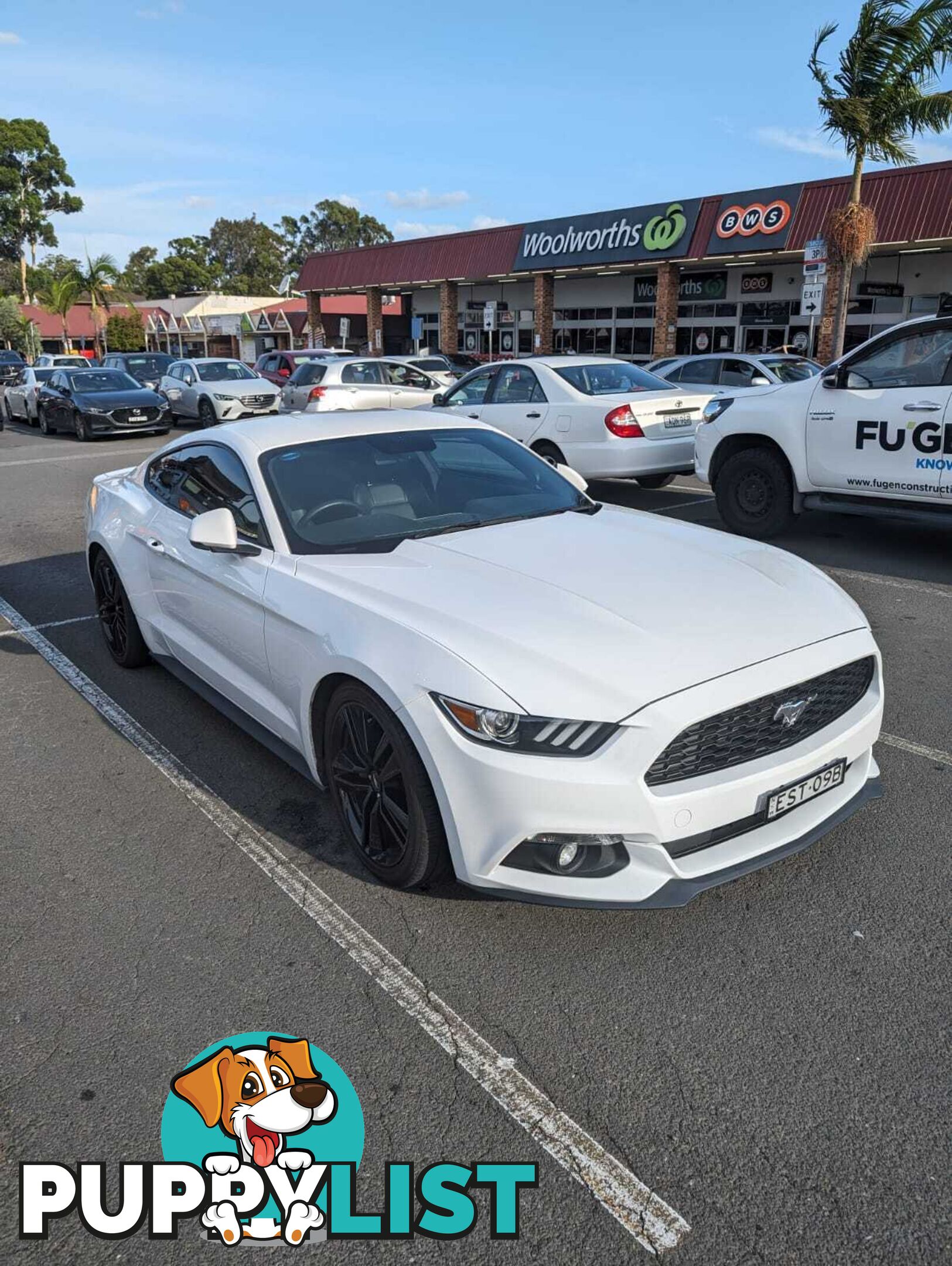 2017 Ford Mustang FM MY17 Coupe Manual