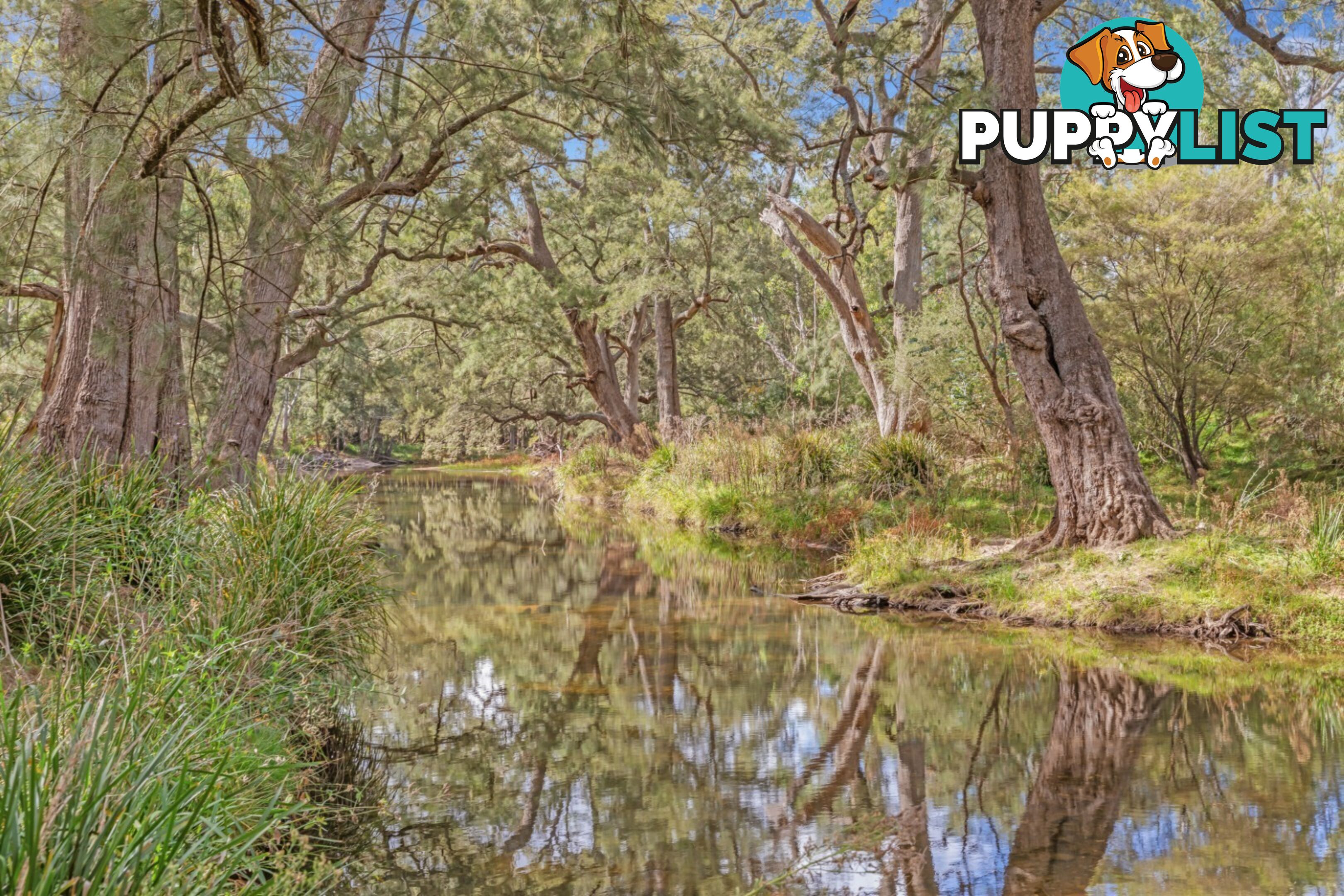 440 McKanes Falls Road SOUTH BOWENFELS NSW 2790
