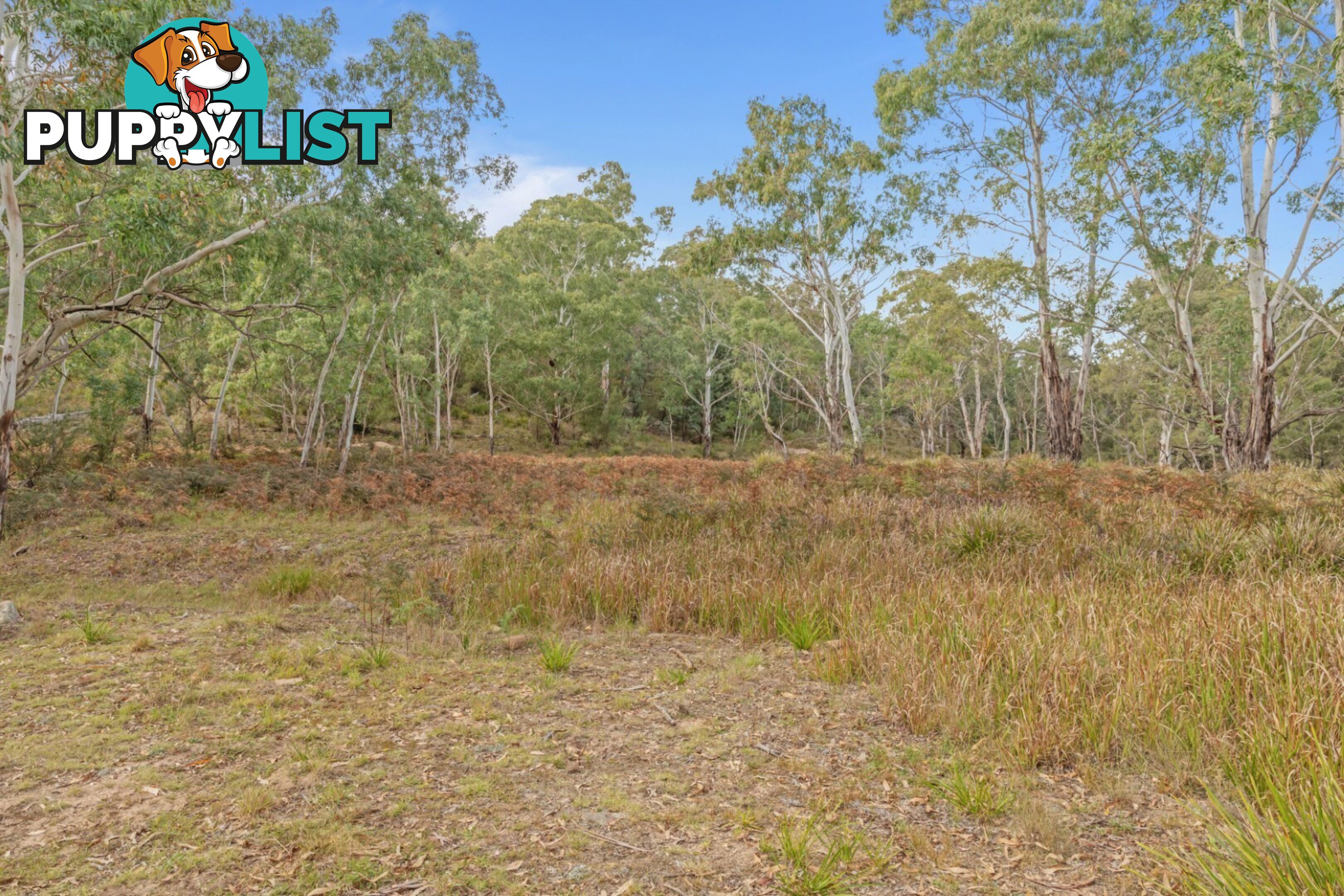440 McKanes Falls Road SOUTH BOWENFELS NSW 2790