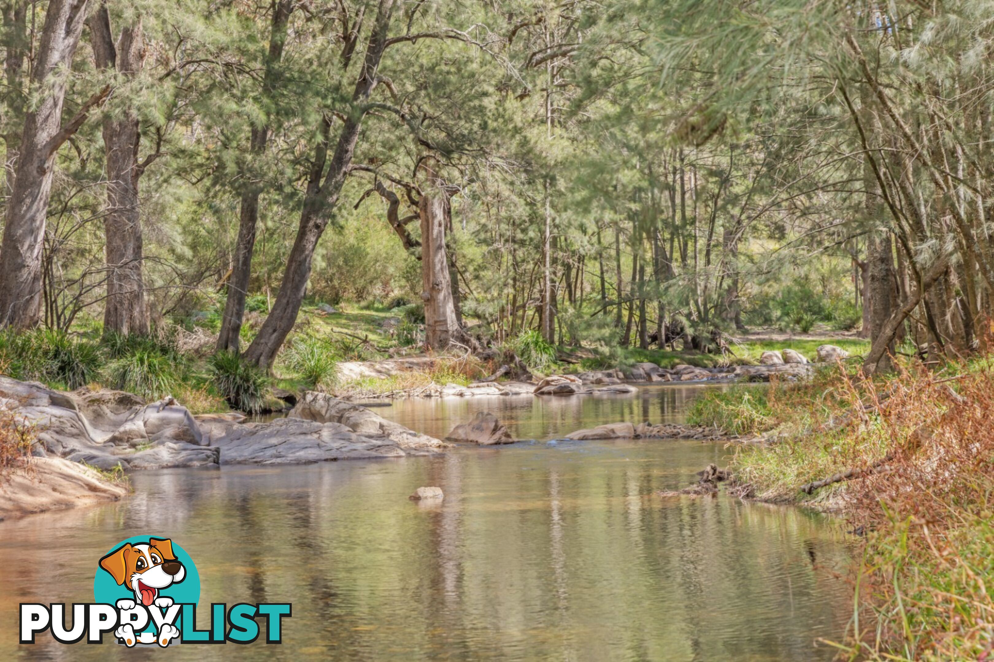 440 McKanes Falls Road SOUTH BOWENFELS NSW 2790