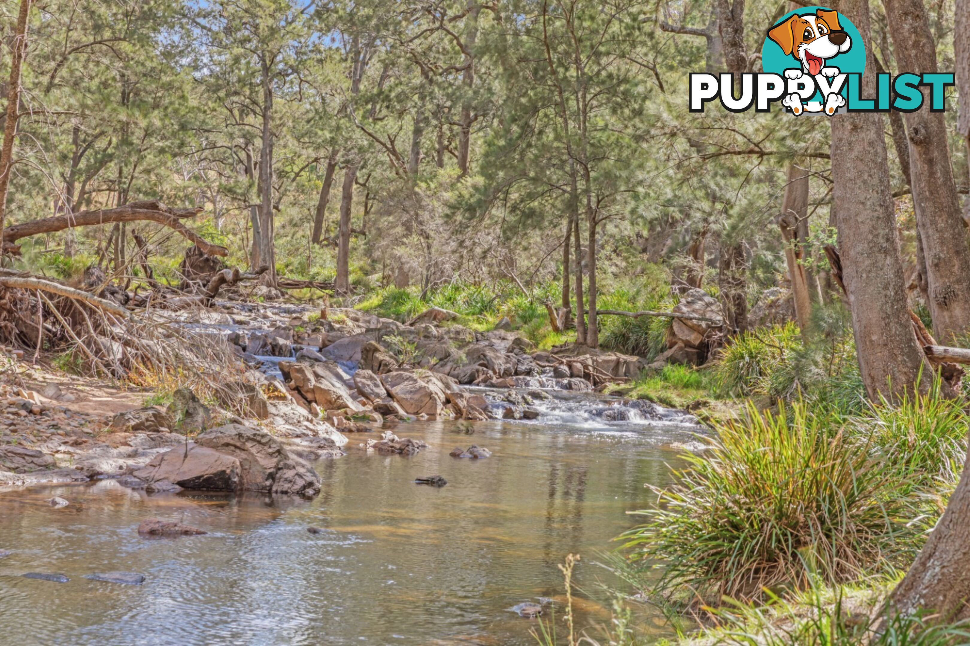 440 McKanes Falls Road SOUTH BOWENFELS NSW 2790