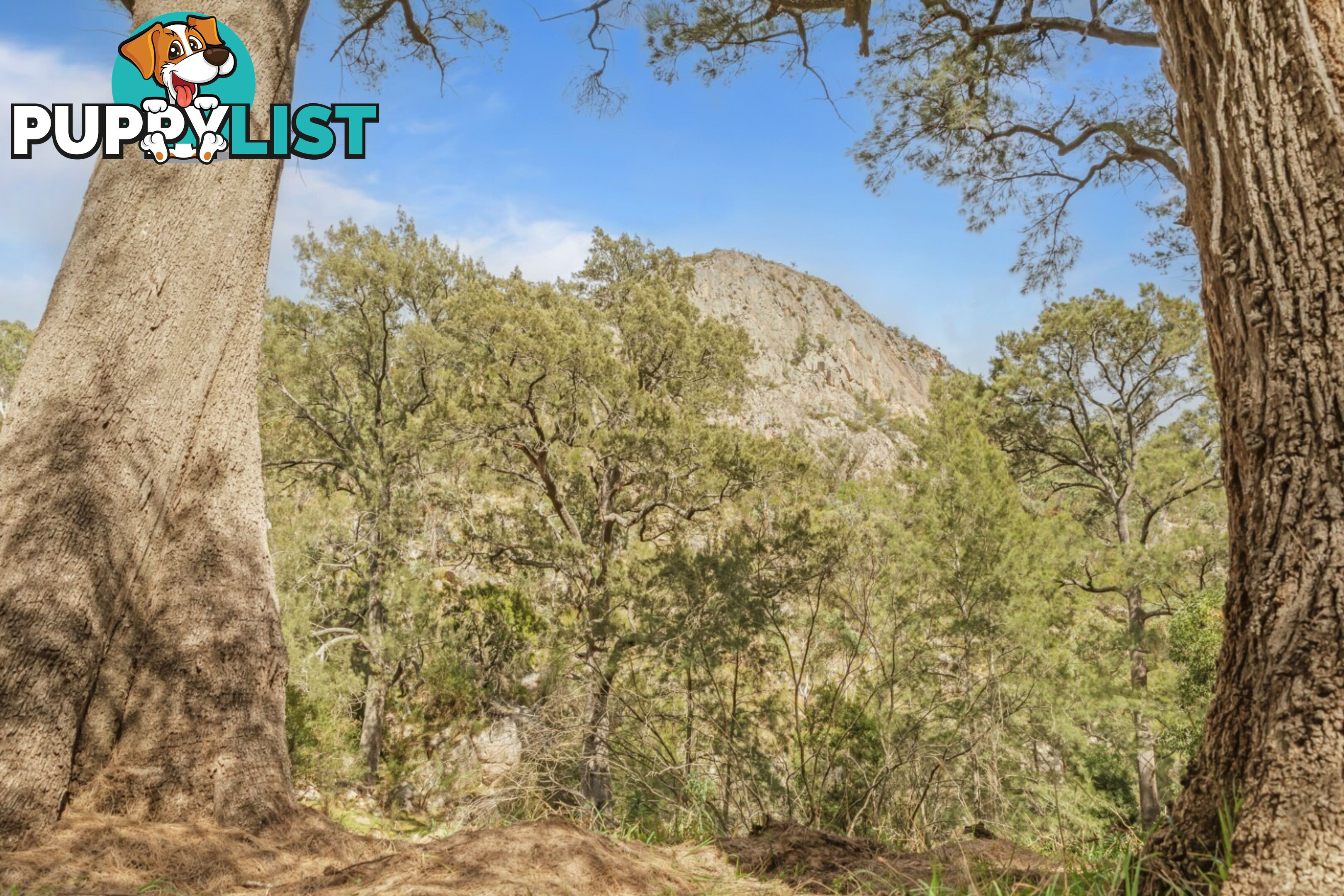 440 McKanes Falls Road SOUTH BOWENFELS NSW 2790