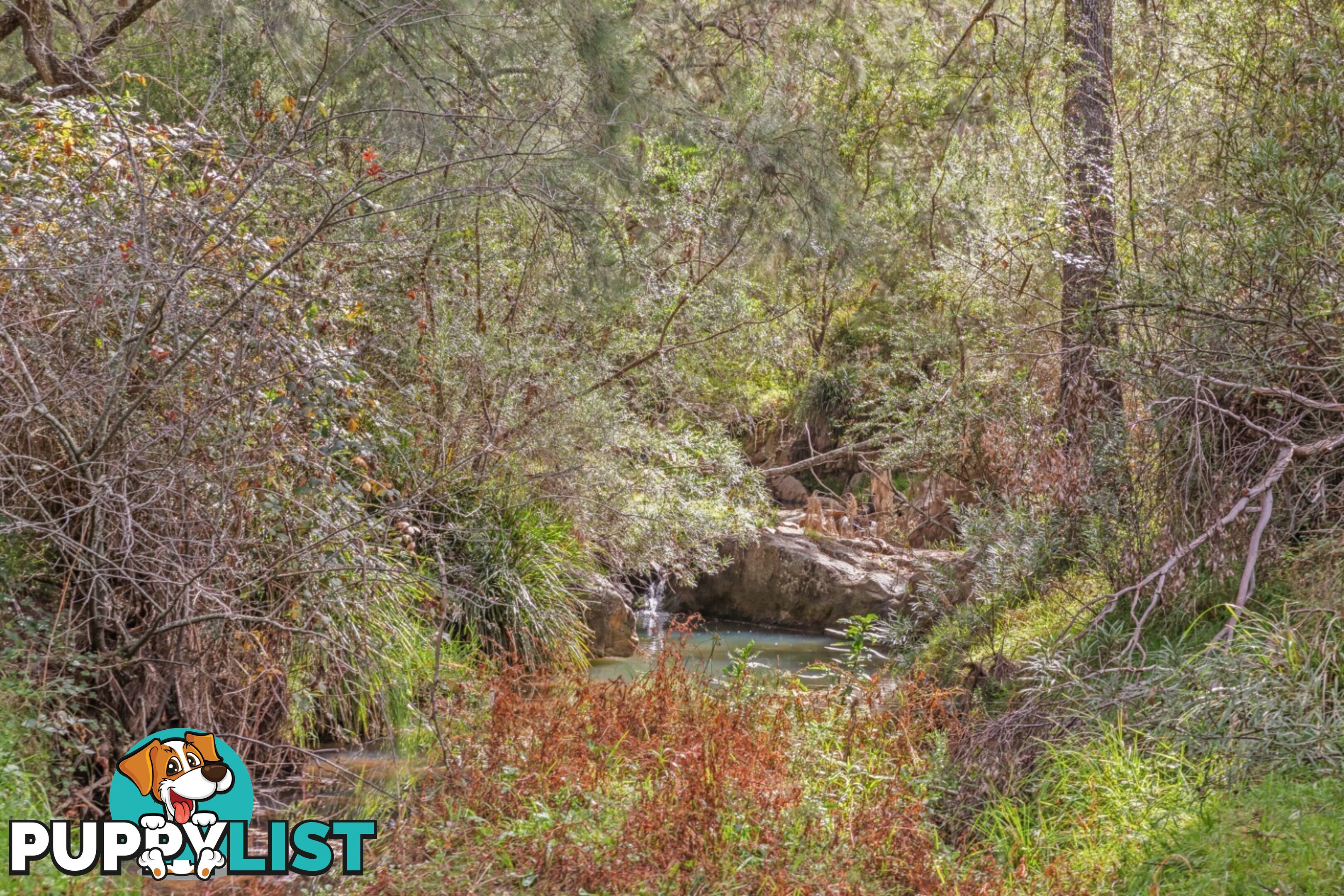 440 McKanes Falls Road SOUTH BOWENFELS NSW 2790