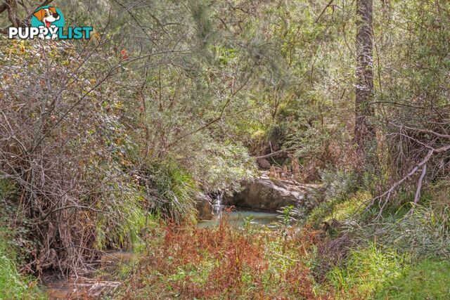 440 McKanes Falls Road SOUTH BOWENFELS NSW 2790