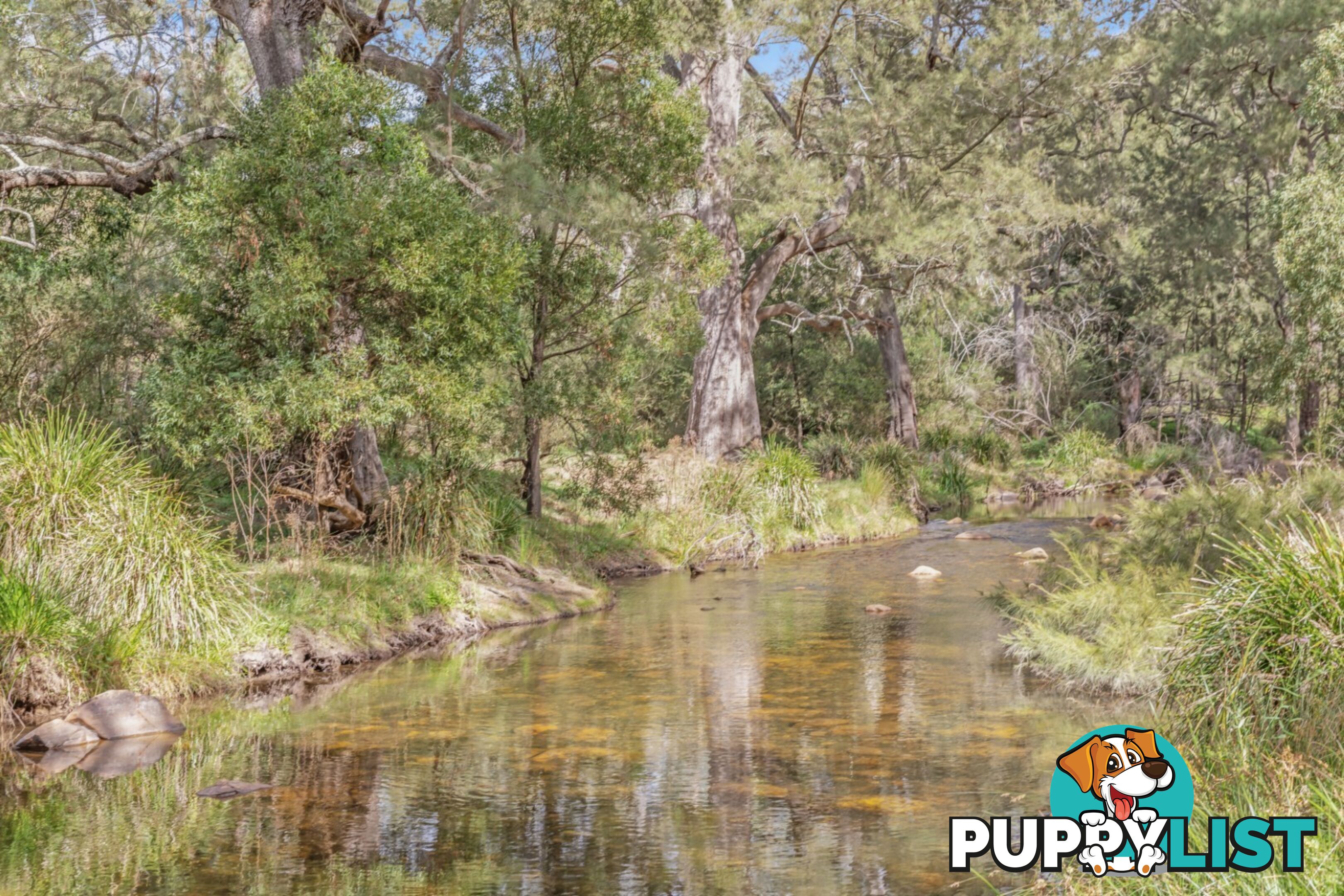 440 McKanes Falls Road SOUTH BOWENFELS NSW 2790