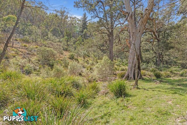 440 McKanes Falls Road SOUTH BOWENFELS NSW 2790