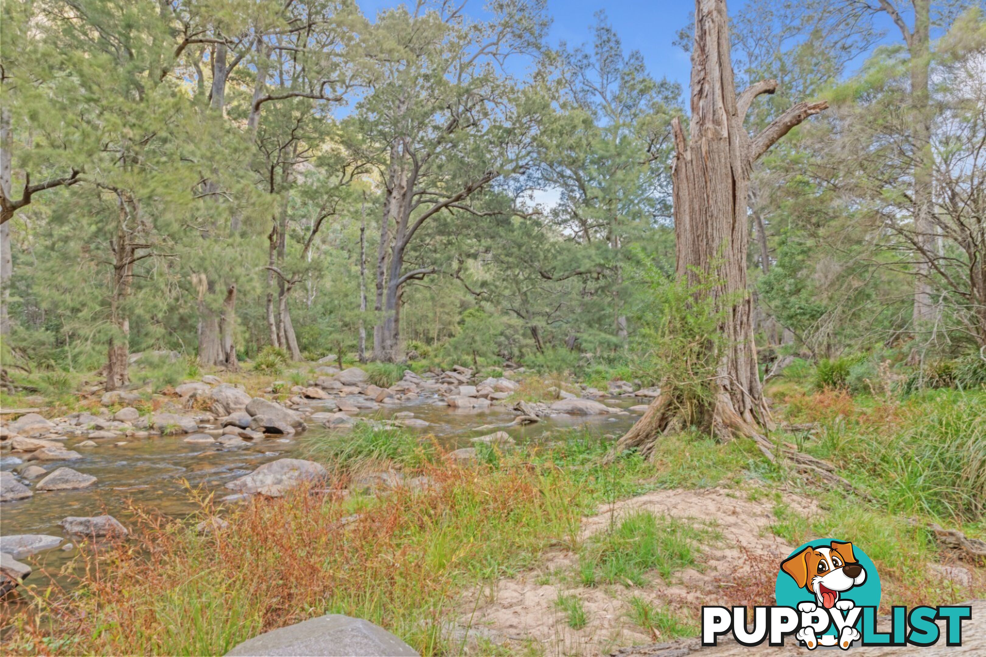 440 McKanes Falls Road SOUTH BOWENFELS NSW 2790