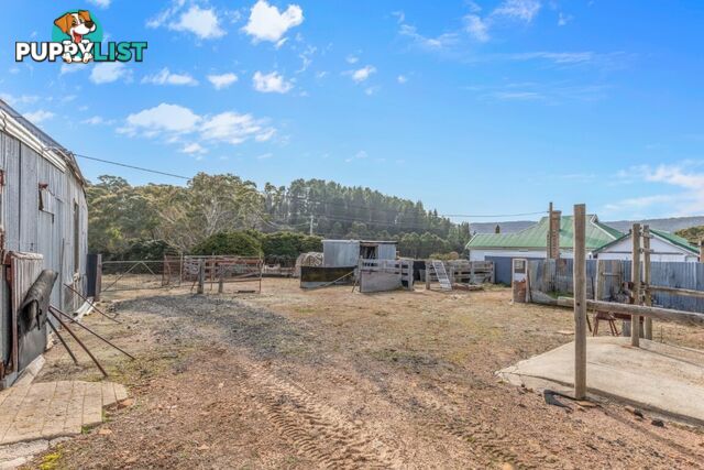 1333 Castlereagh Highway LIDSDALE NSW 2790