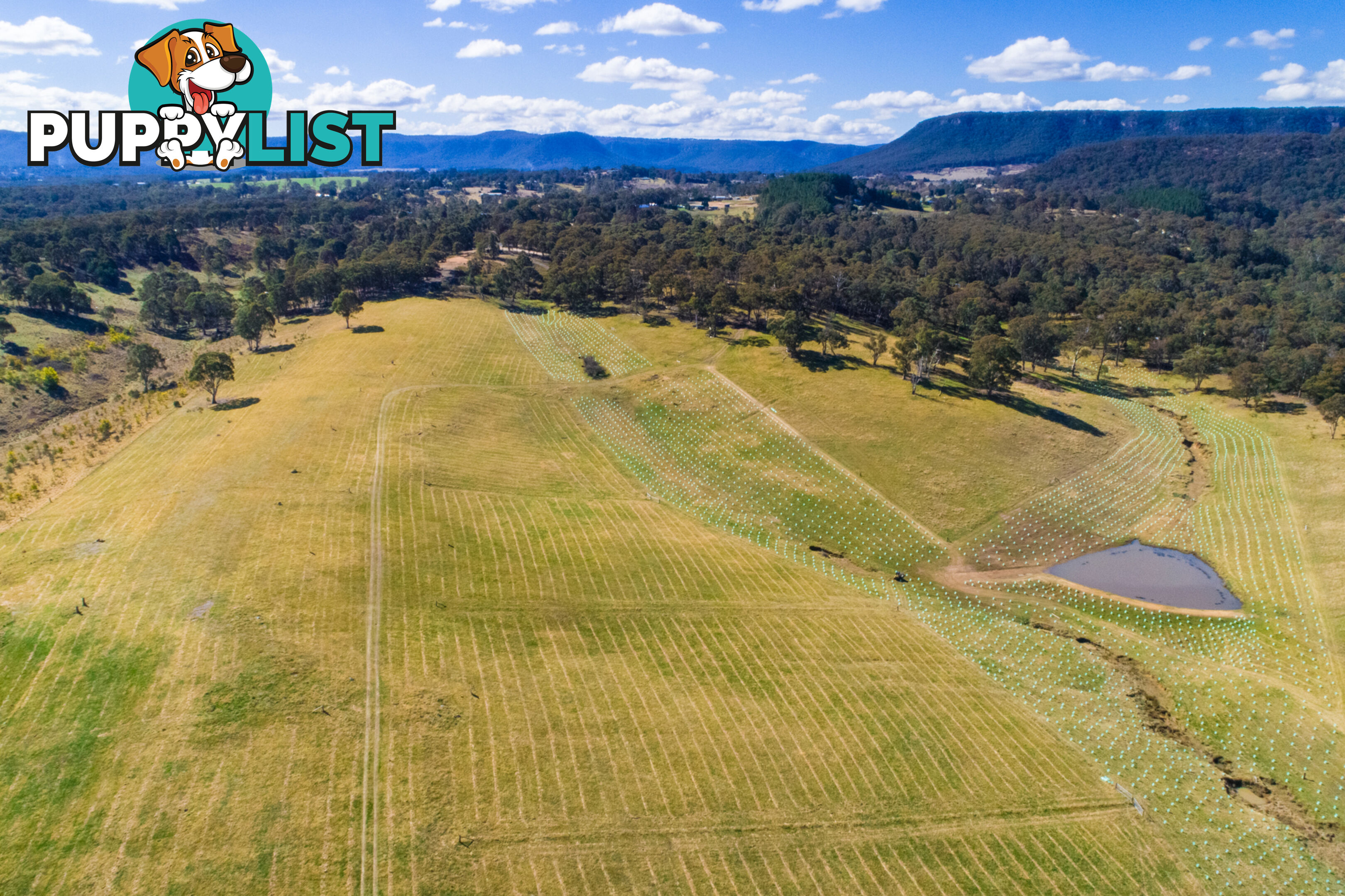 Moyne Farm Estate - Stage 2 LITTLE HARTLEY NSW 2790