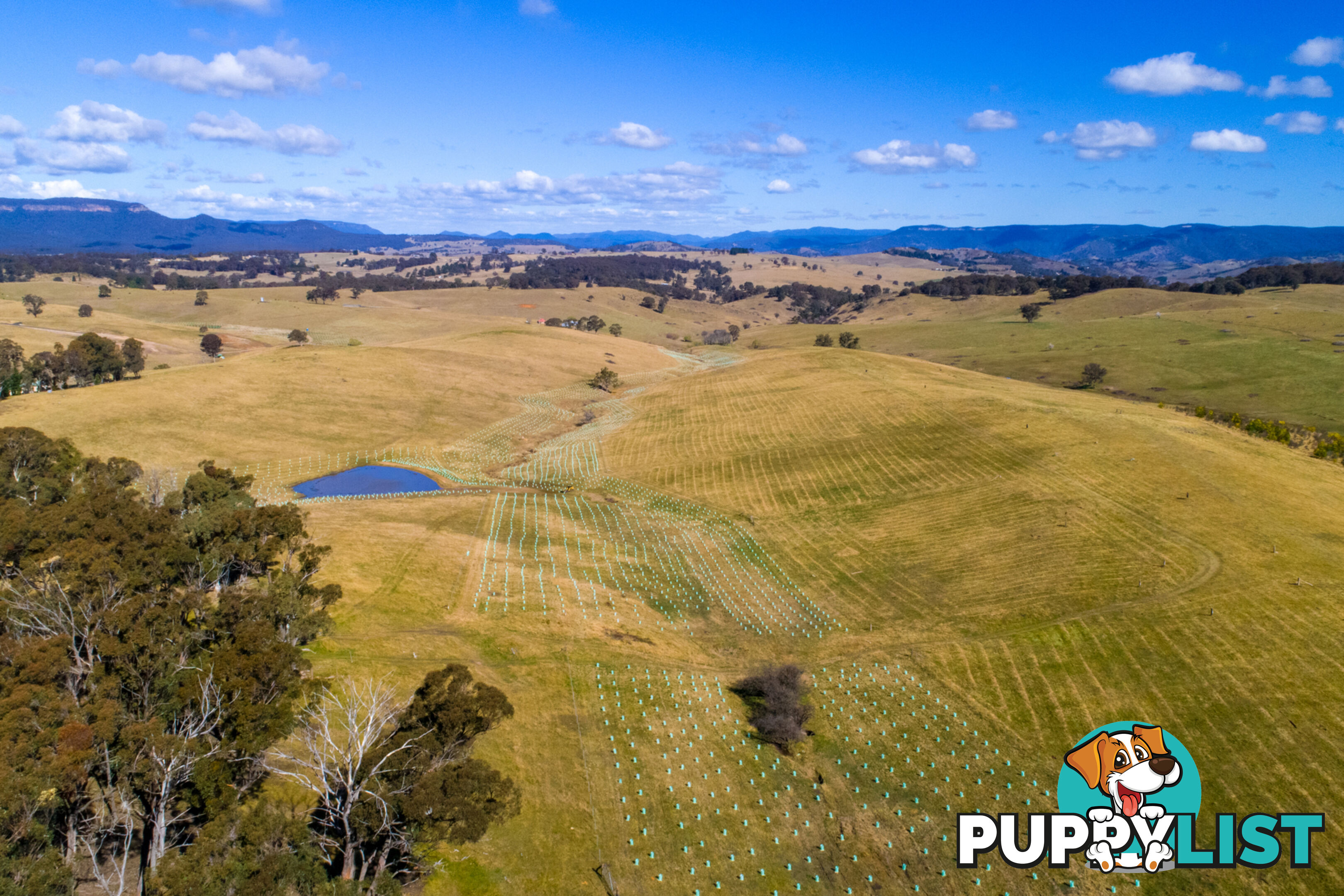 Moyne Farm Estate - Stage 2 LITTLE HARTLEY NSW 2790