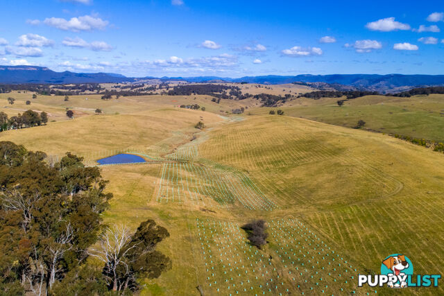 Moyne Farm Estate - Stage 2 LITTLE HARTLEY NSW 2790