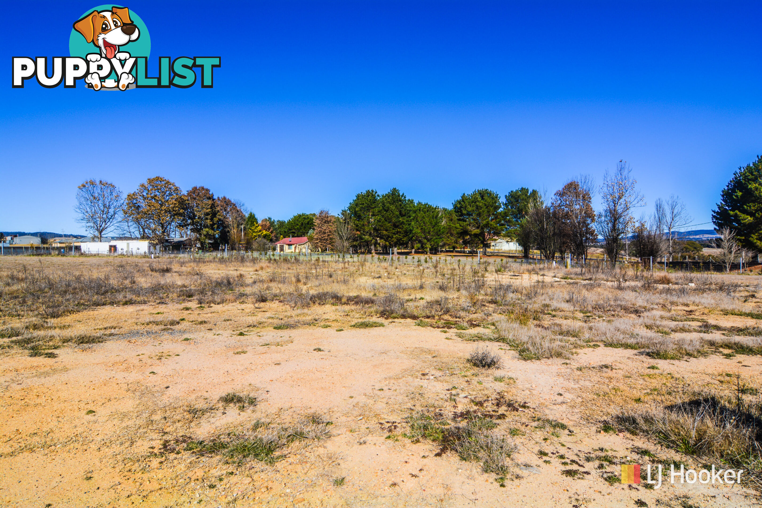 6 Carriers Arms Close LIDSDALE NSW 2790