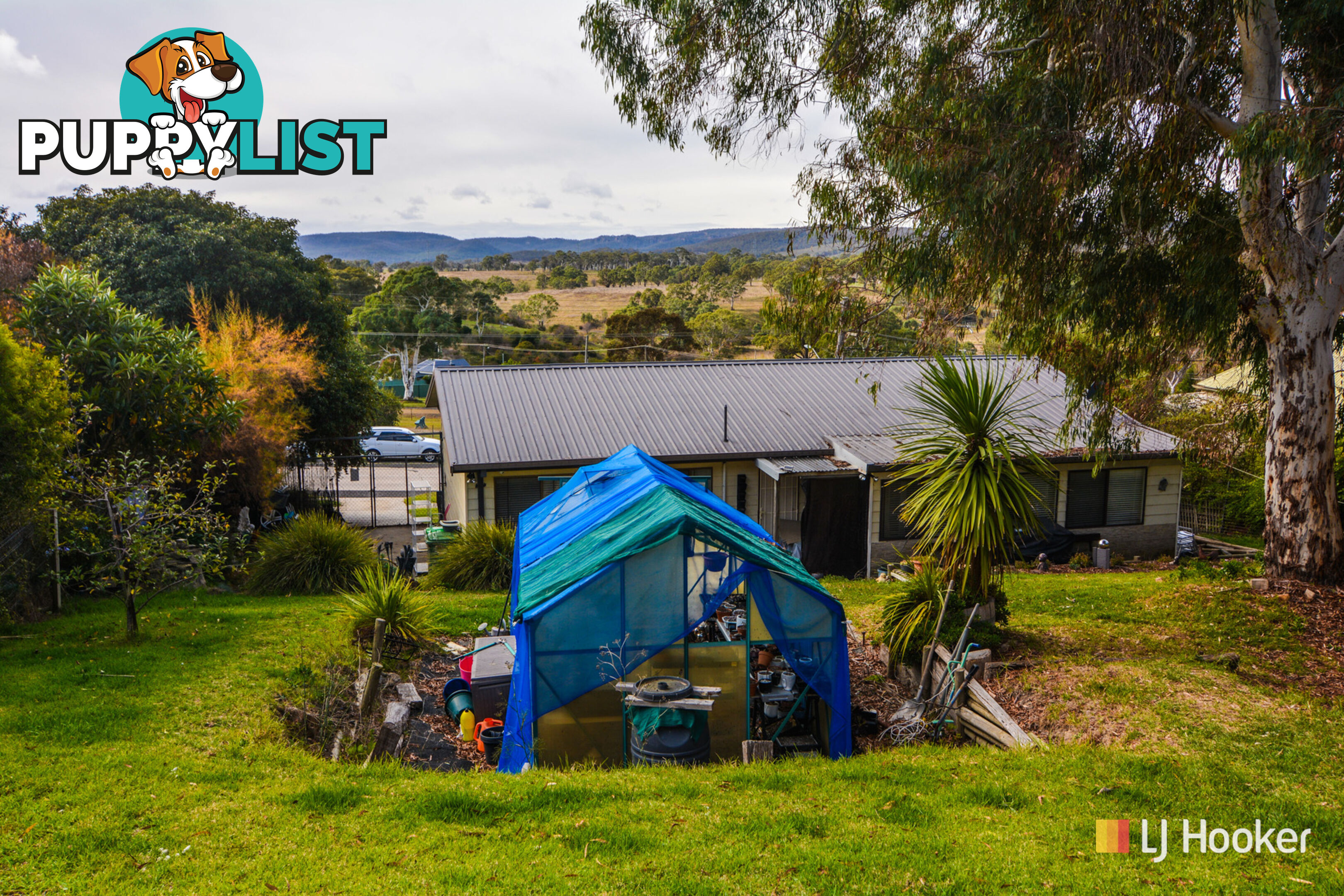 113 Williwa Street PORTLAND NSW 2847