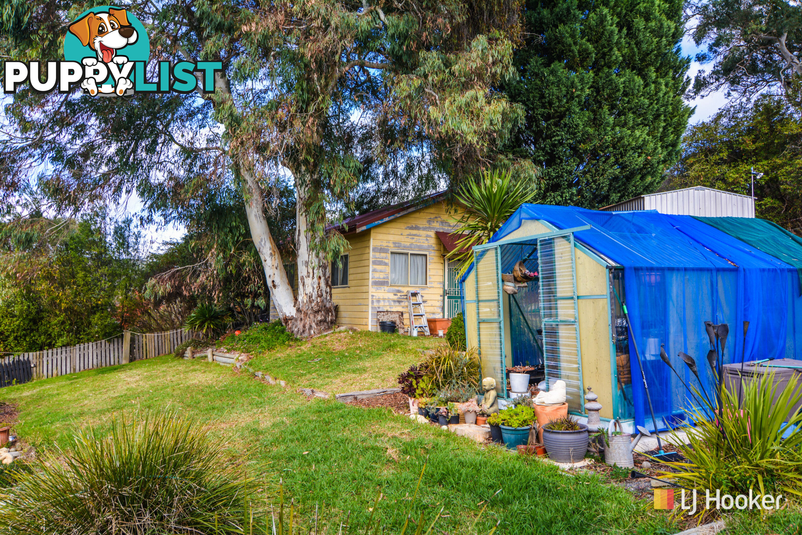 113 Williwa Street PORTLAND NSW 2847