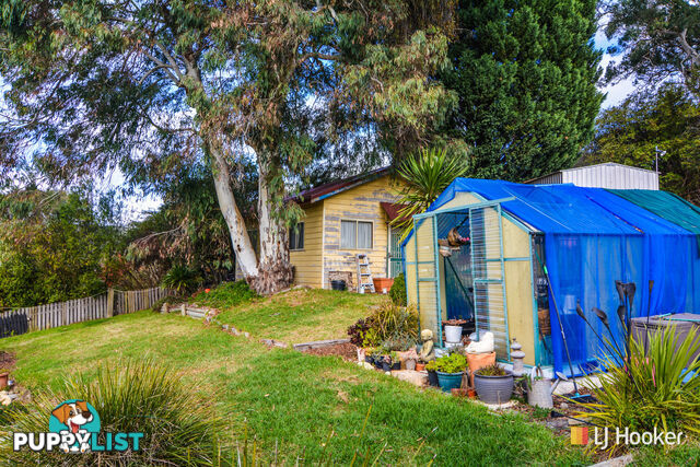 113 Williwa Street PORTLAND NSW 2847