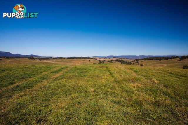 Moyne Farm Estate - Stage 3 LITTLE HARTLEY NSW 2790