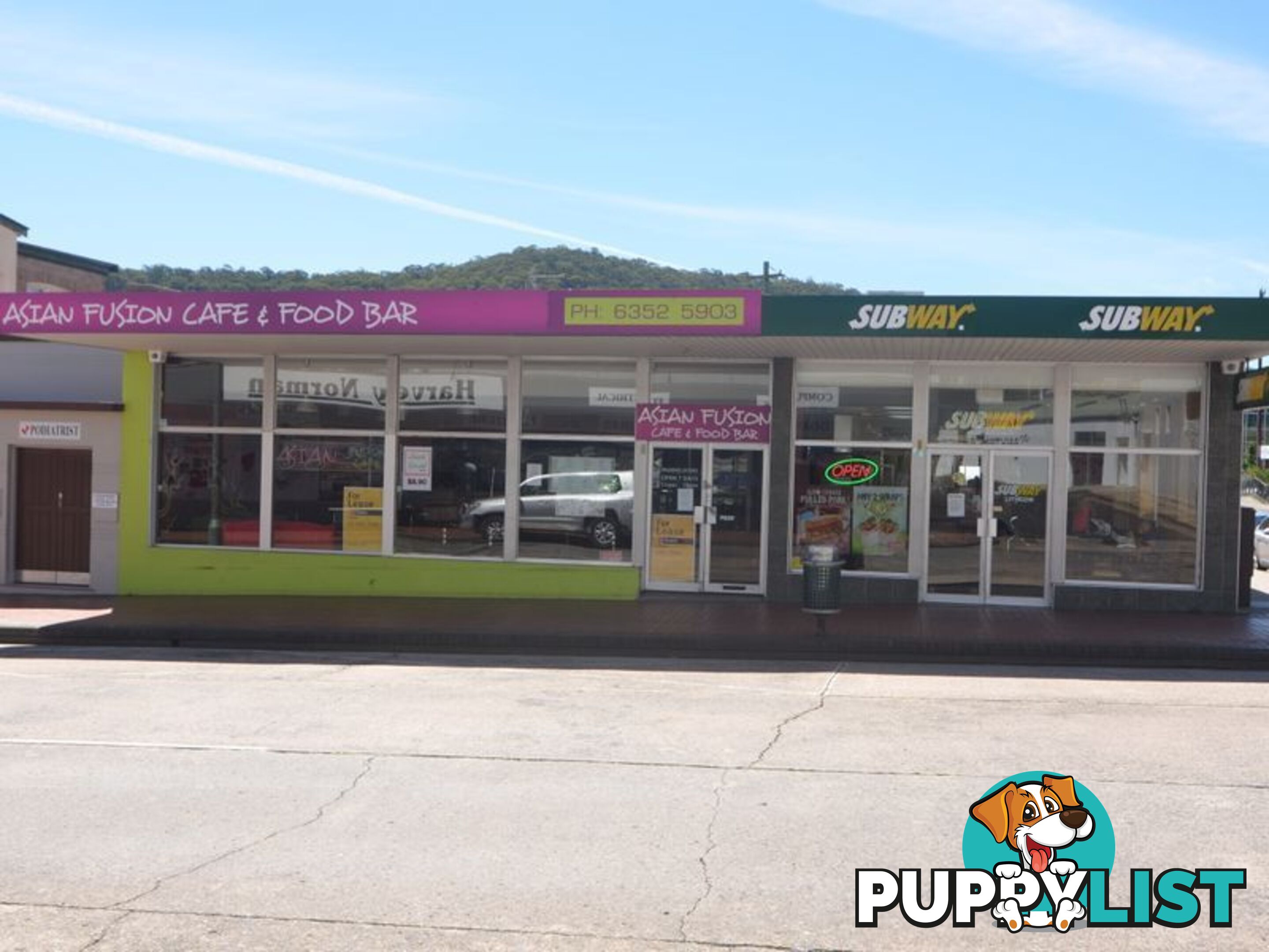 162 Main Street LITHGOW NSW 2790