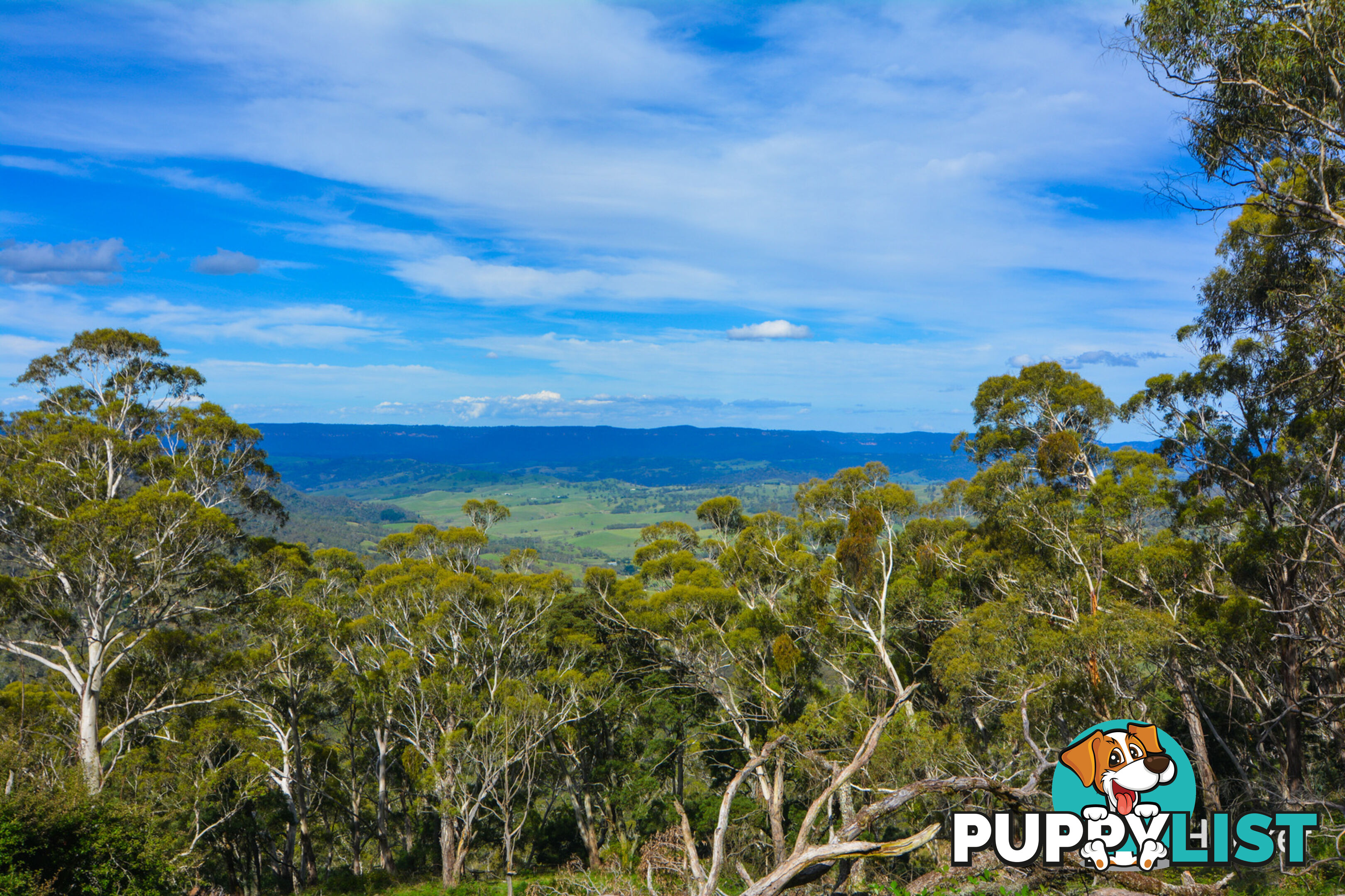 1941 Jenolan Caves Road HAMPTON NSW 2790