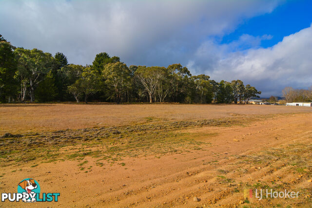 14 Carriers Arms Close LIDSDALE NSW 2790