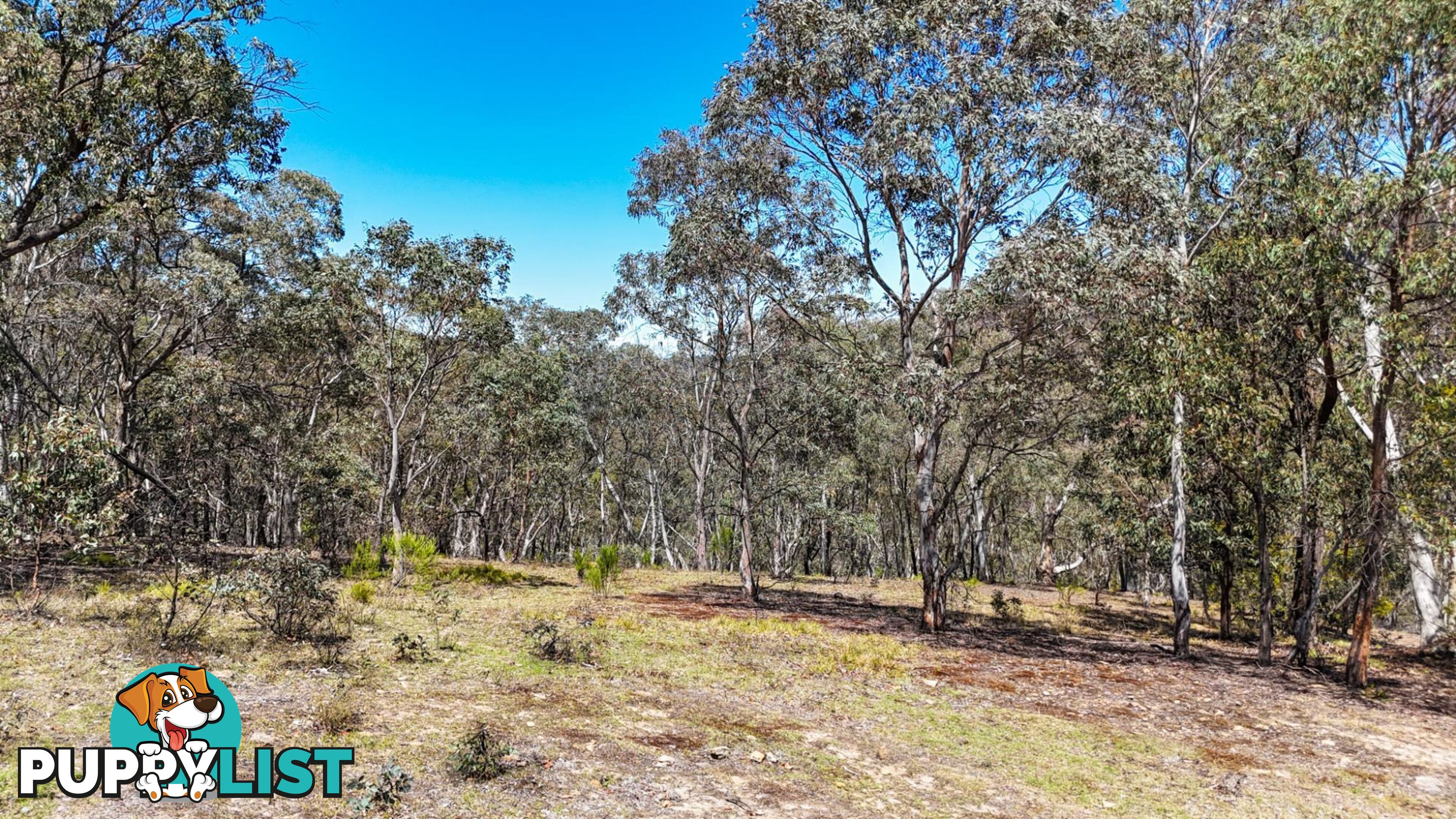 94 Oakey Forest Road MARRANGAROO NSW 2790