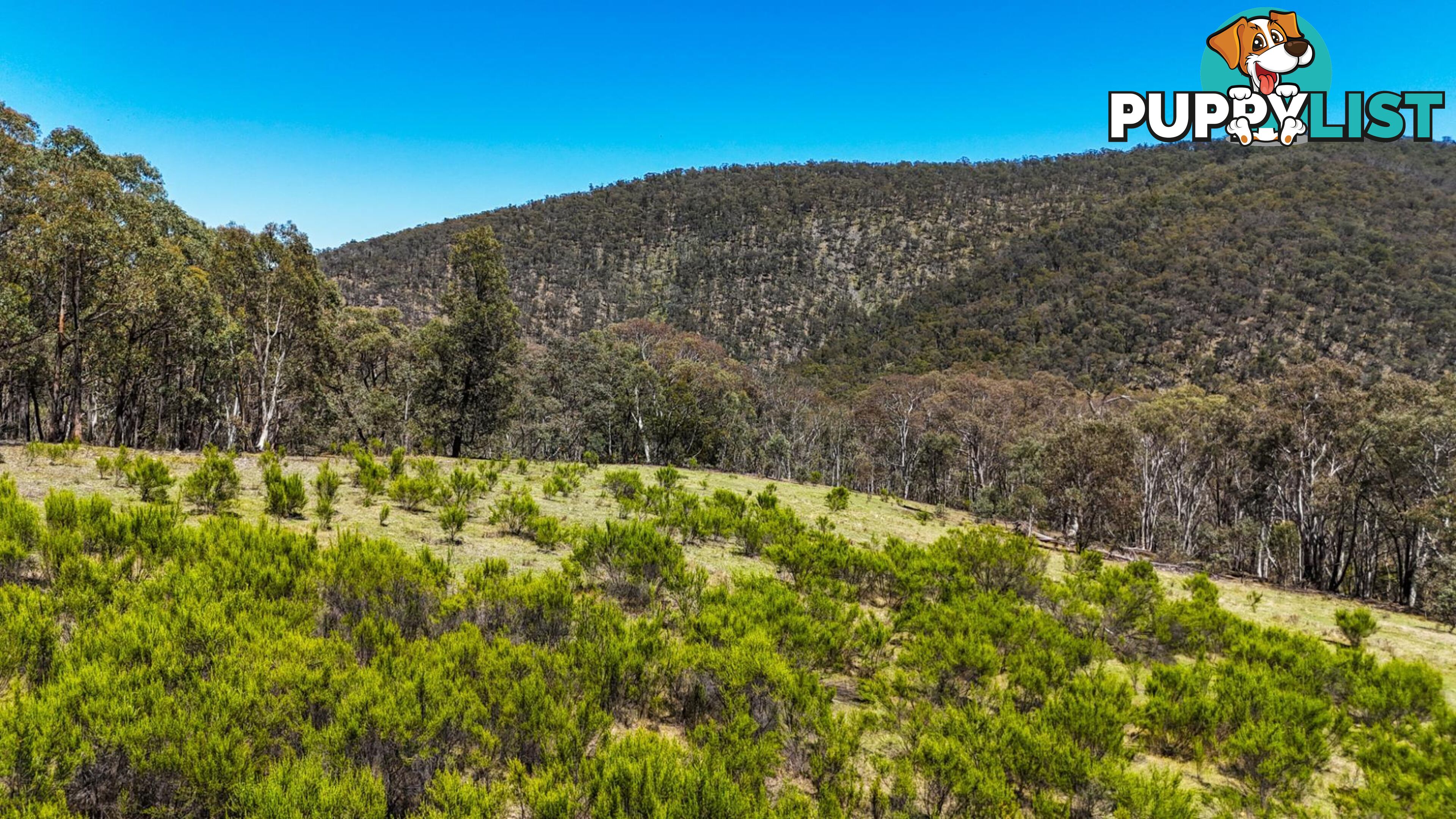 94 Oakey Forest Road MARRANGAROO NSW 2790