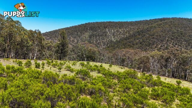 94 Oakey Forest Road MARRANGAROO NSW 2790