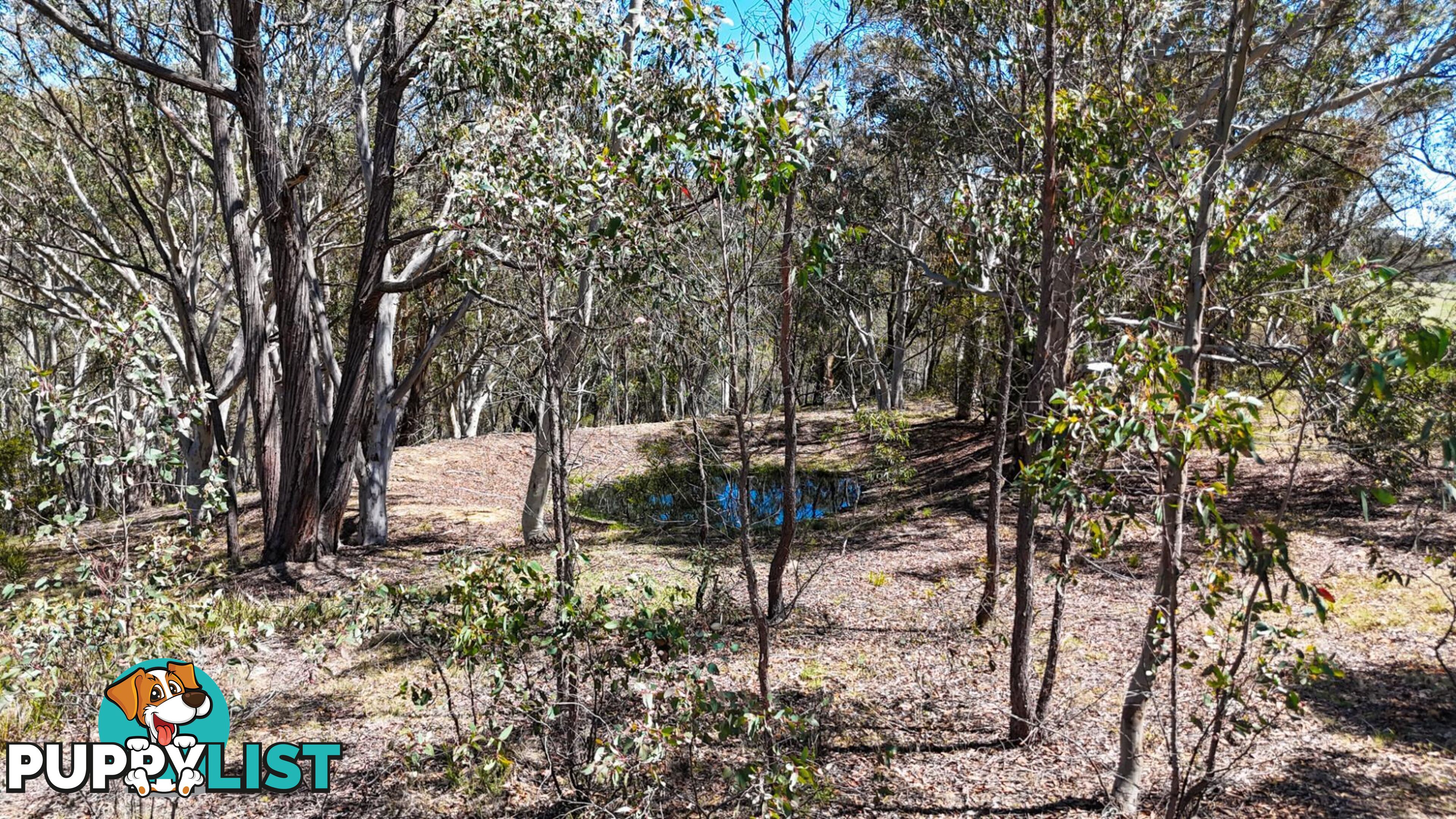 94 Oakey Forest Road MARRANGAROO NSW 2790