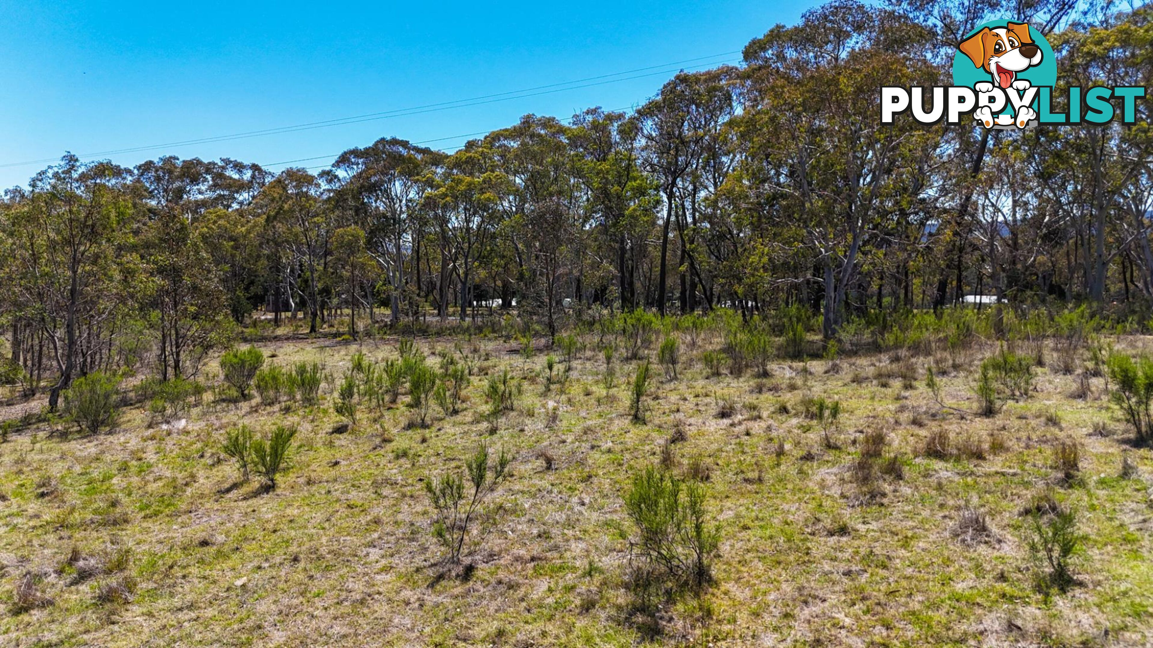 94 Oakey Forest Road MARRANGAROO NSW 2790