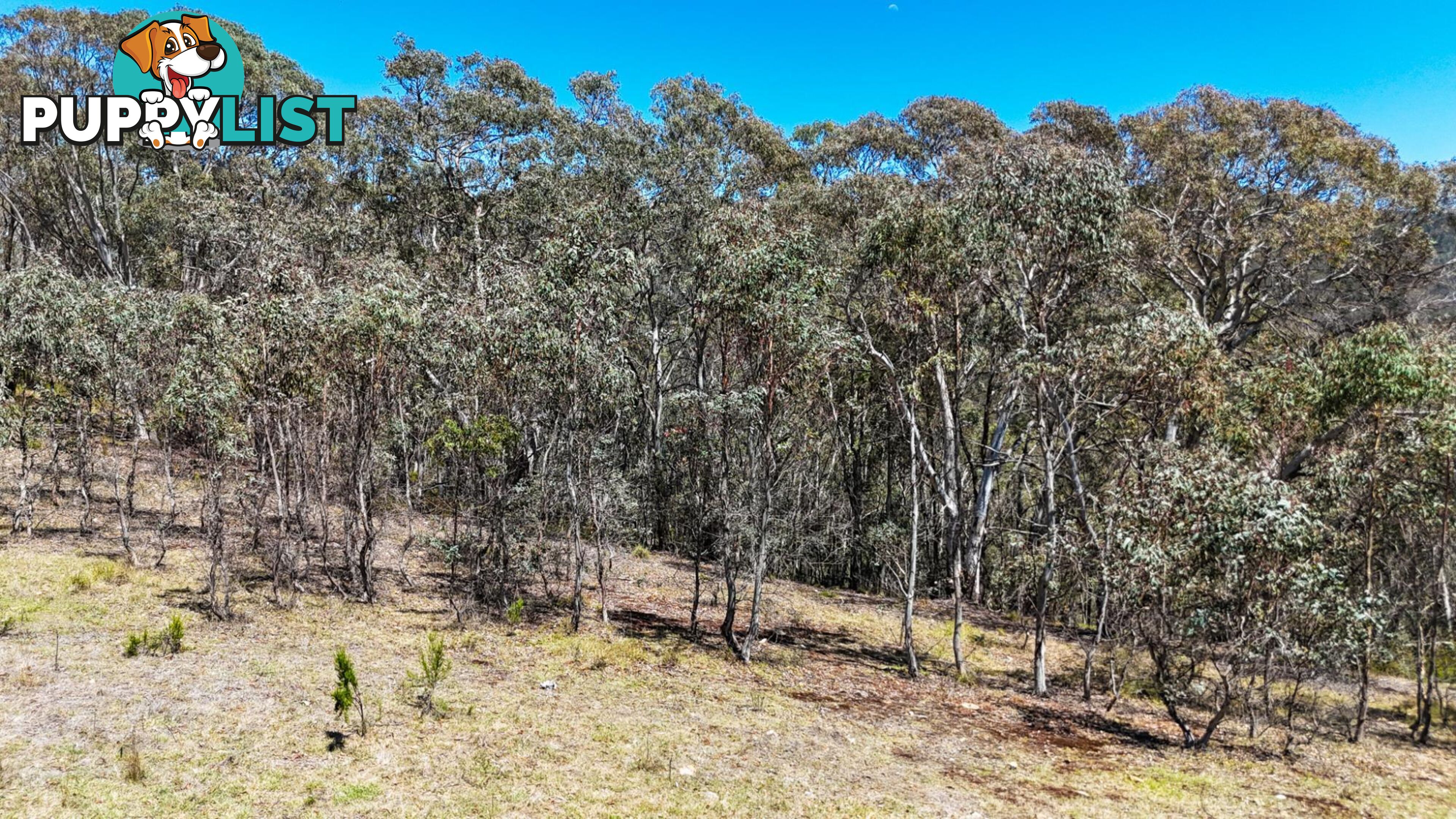 94 Oakey Forest Road MARRANGAROO NSW 2790