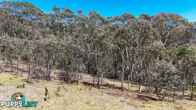 94 Oakey Forest Road MARRANGAROO NSW 2790