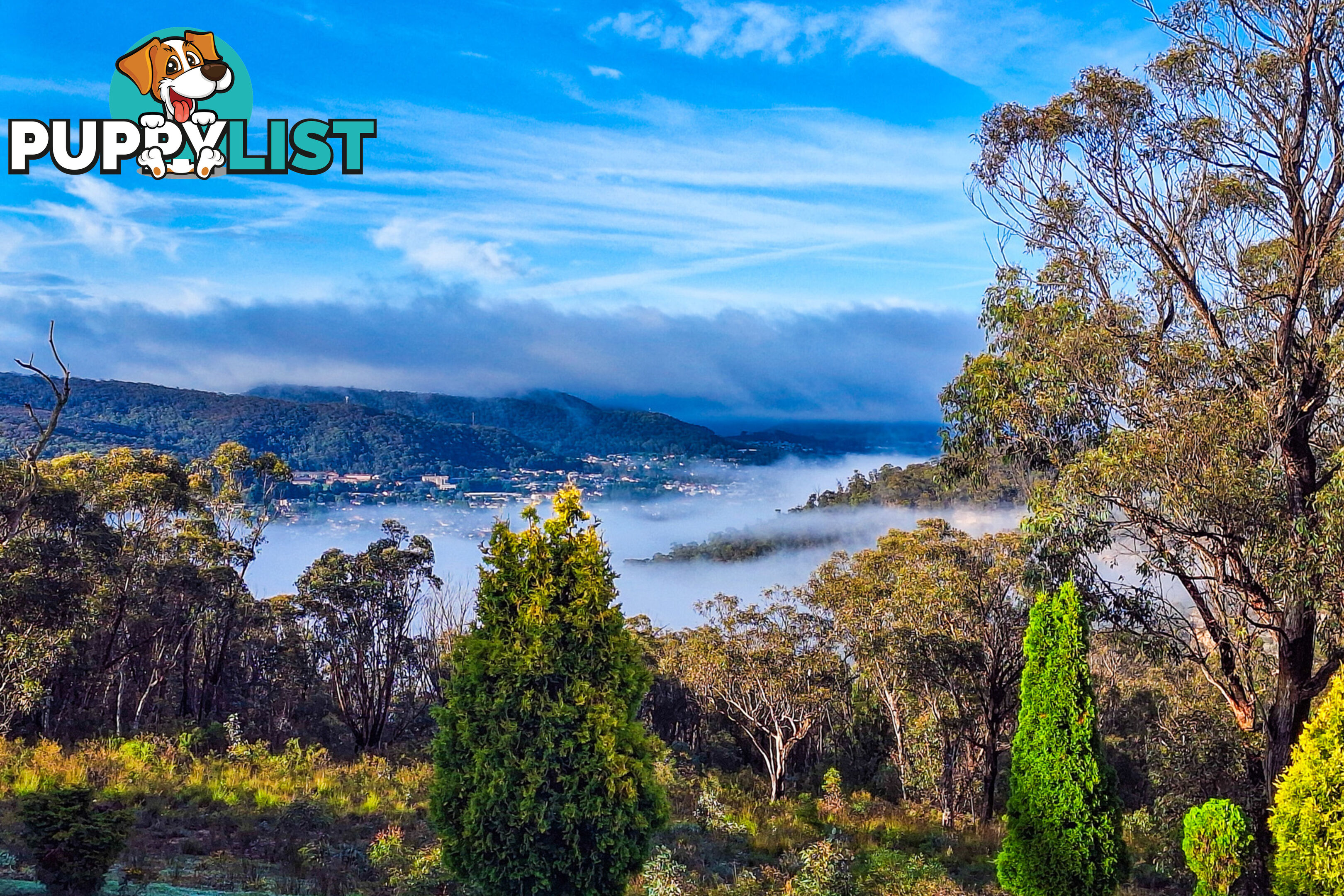352 State Mine Gully Road LITHGOW NSW 2790