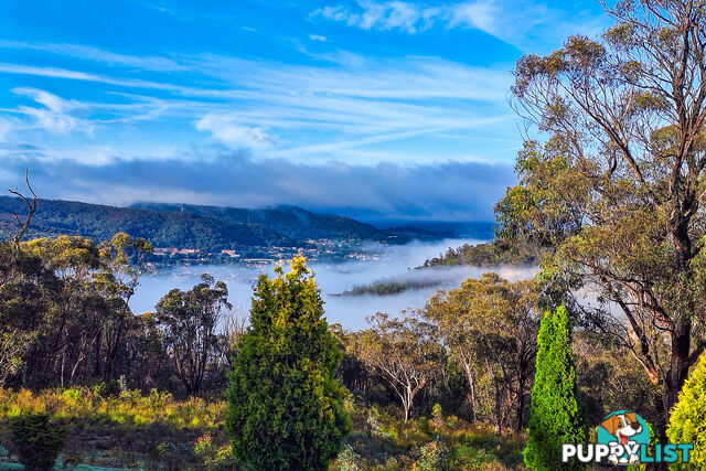 352 State Mine Gully Road LITHGOW NSW 2790