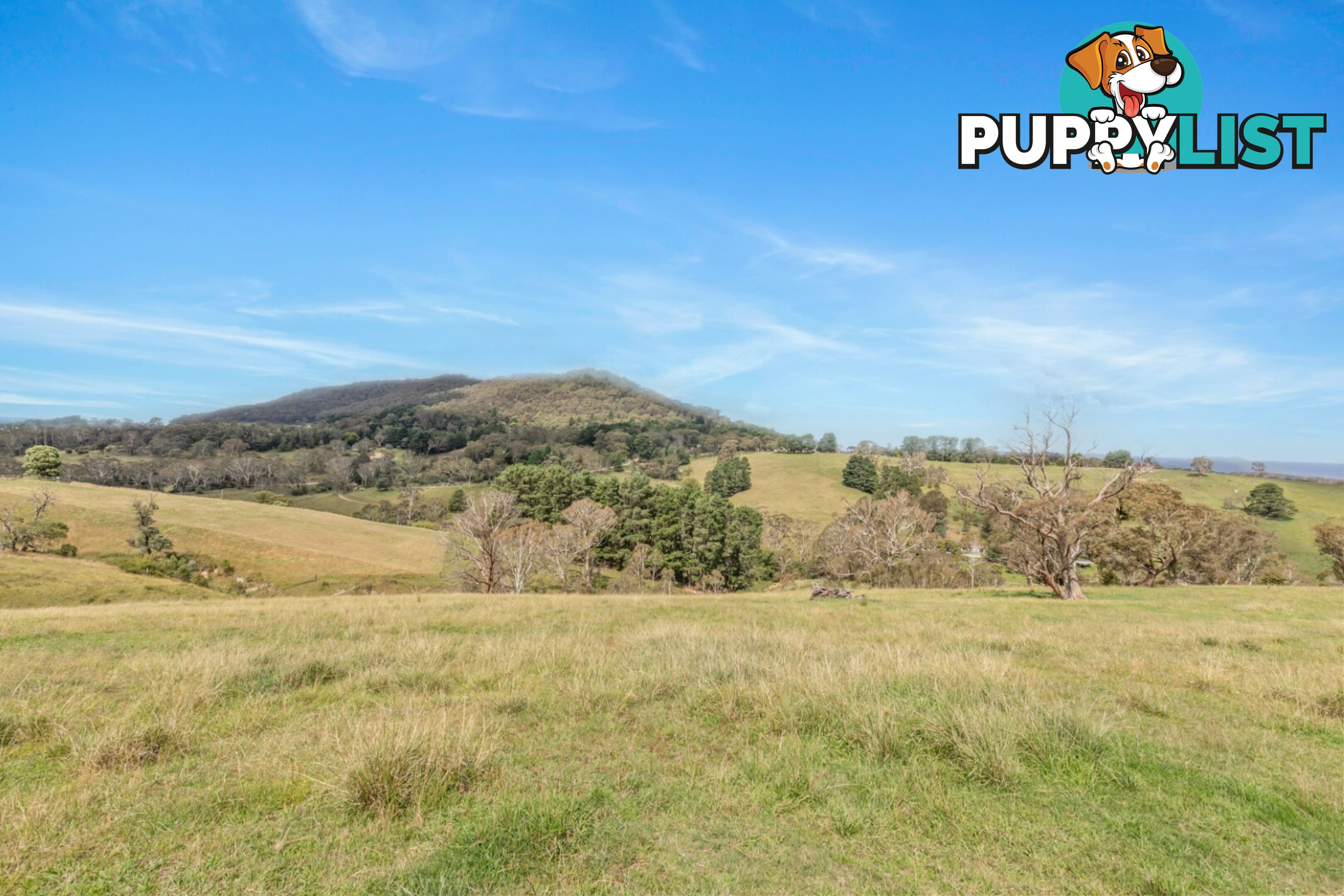 Lot 103 Old Bathurst Road SOUTH BOWENFELS NSW 2790