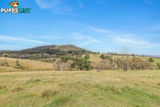 Lot 103 Old Bathurst Road SOUTH BOWENFELS NSW 2790