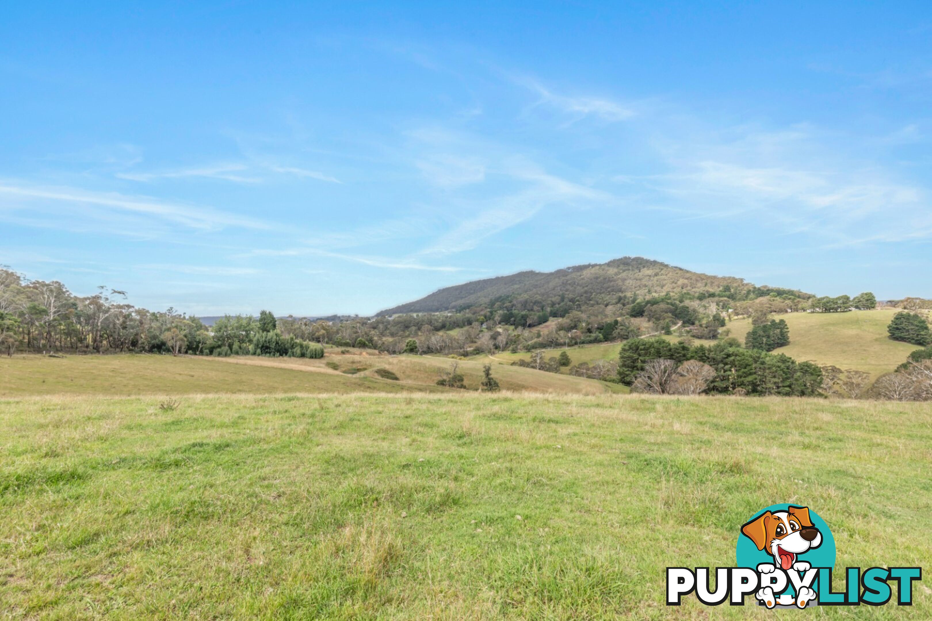 Lot 103 Old Bathurst Road SOUTH BOWENFELS NSW 2790