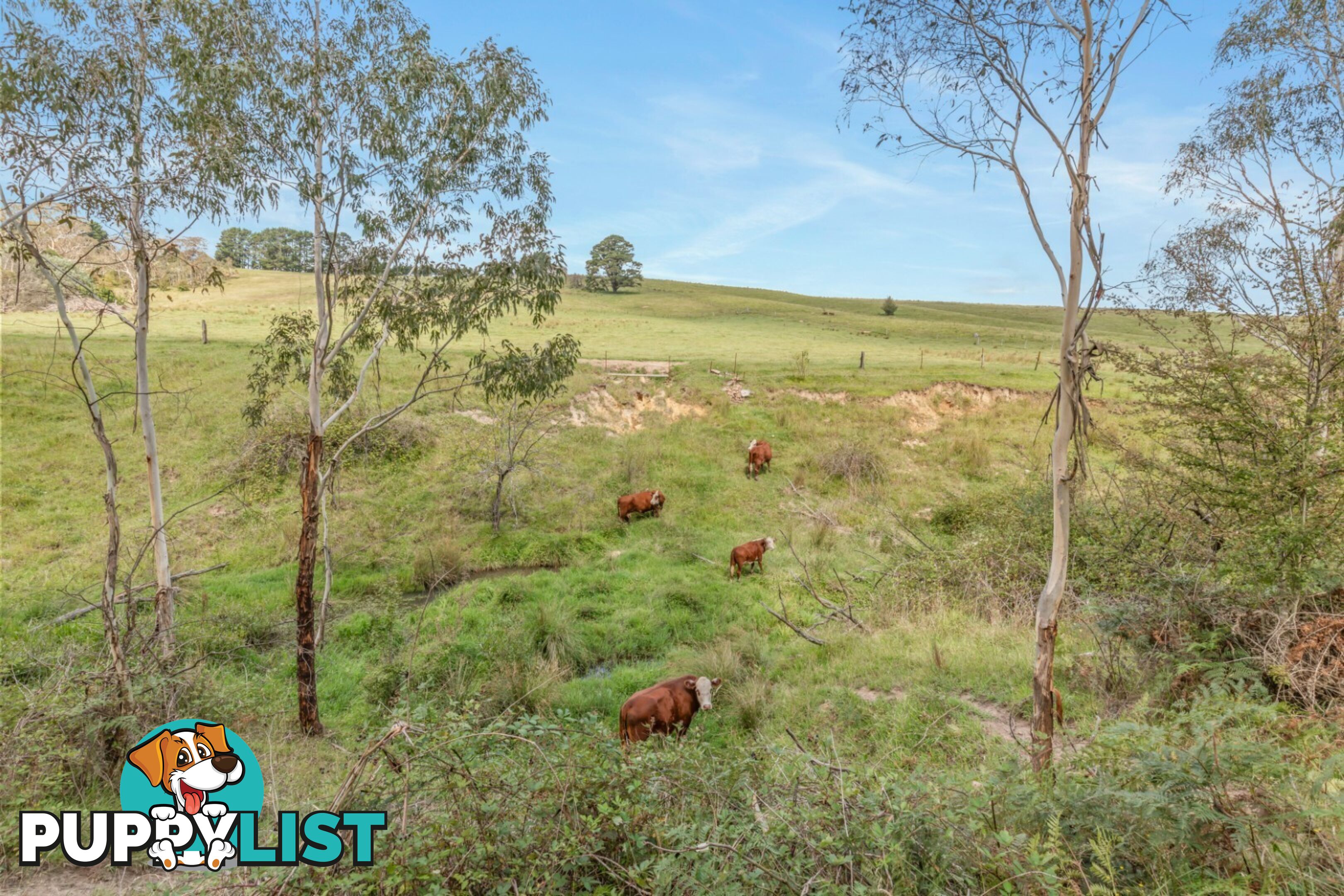 Lot 103 Old Bathurst Road SOUTH BOWENFELS NSW 2790