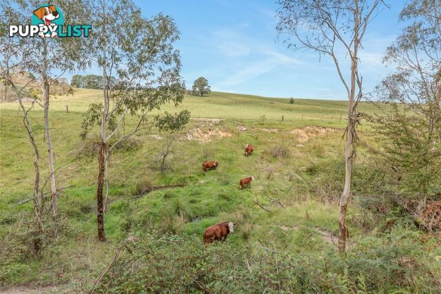 Lot 103 Old Bathurst Road SOUTH BOWENFELS NSW 2790