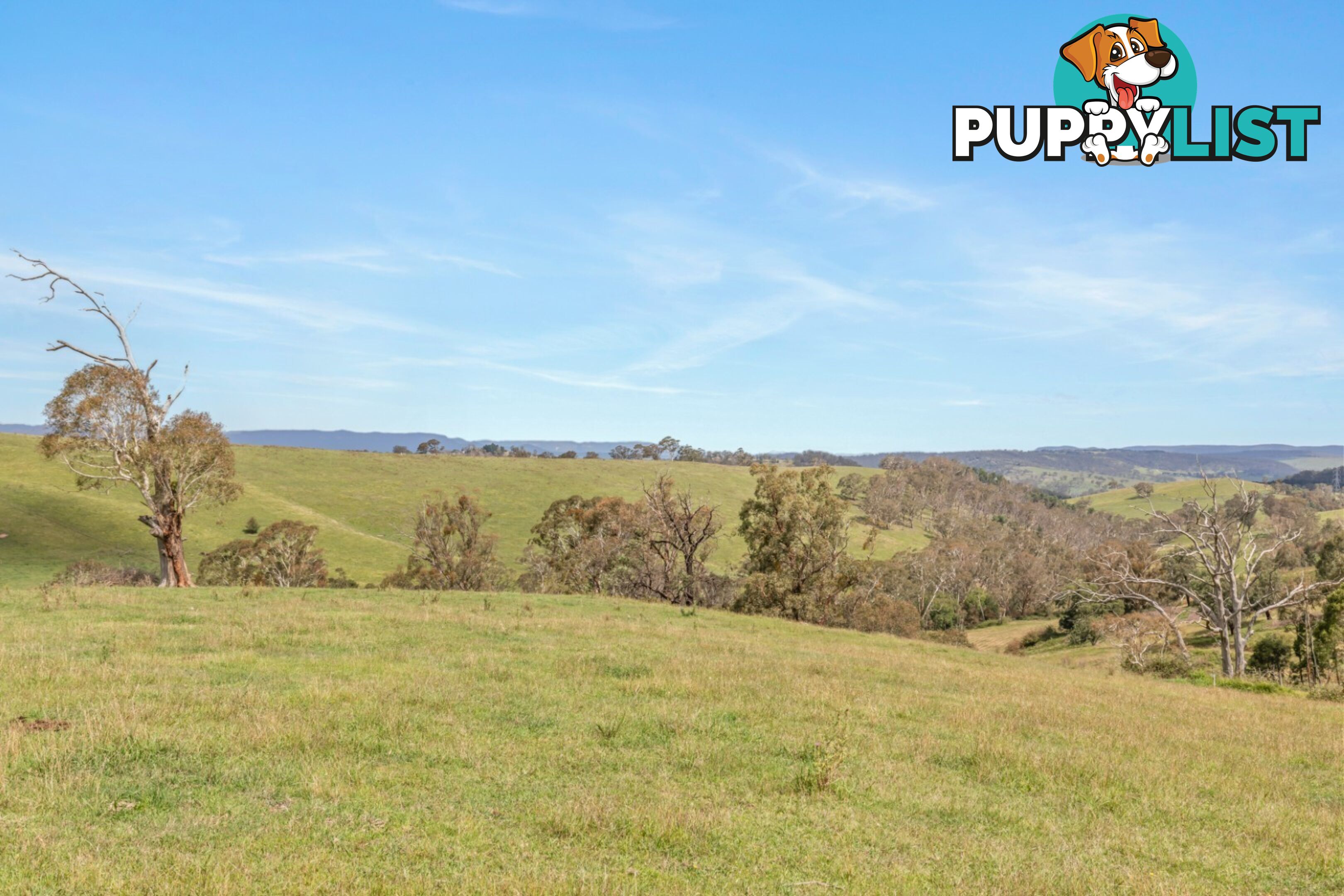 Lot 103 Old Bathurst Road SOUTH BOWENFELS NSW 2790