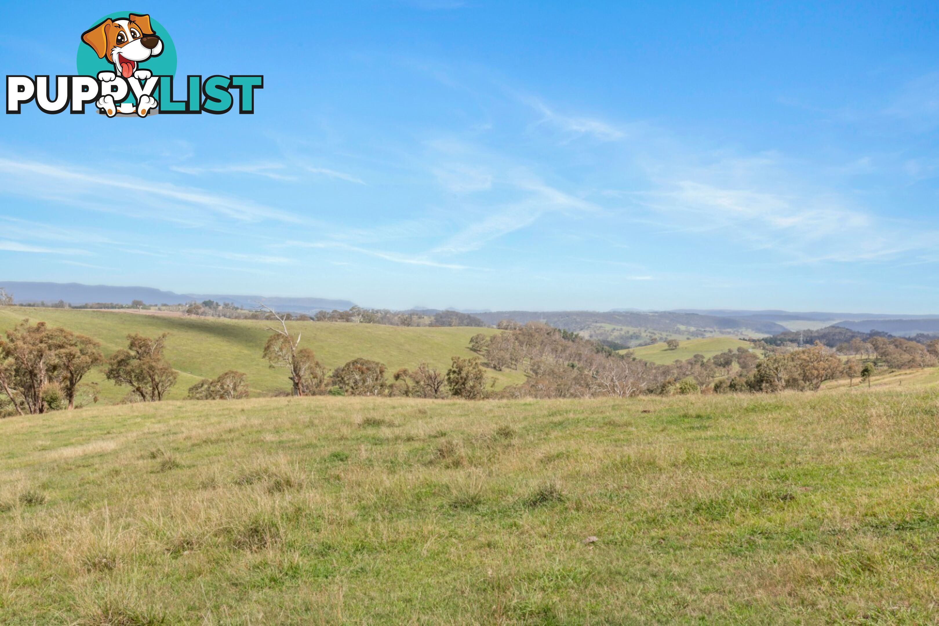 Lot 103 Old Bathurst Road SOUTH BOWENFELS NSW 2790