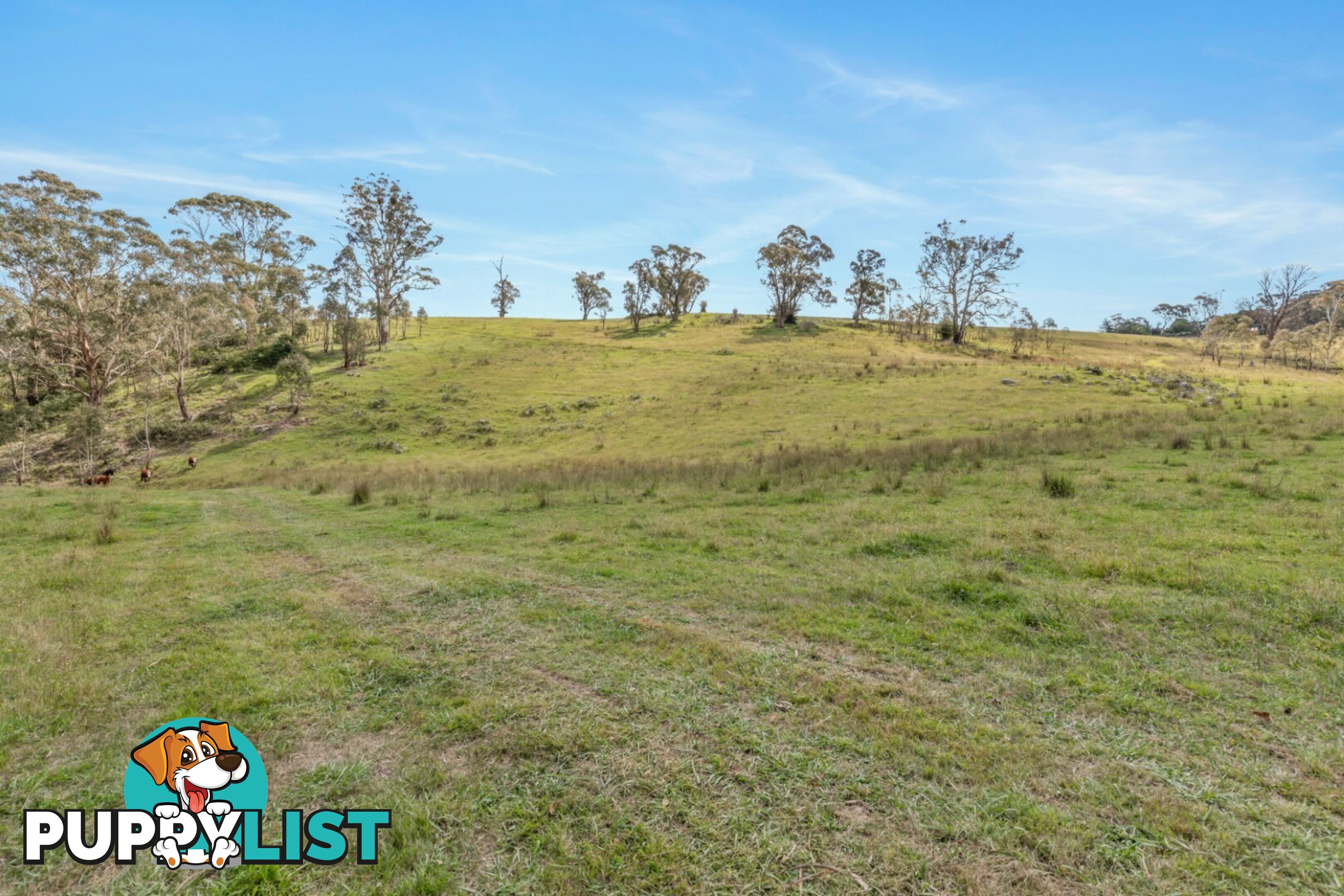 Lot 103 Old Bathurst Road SOUTH BOWENFELS NSW 2790