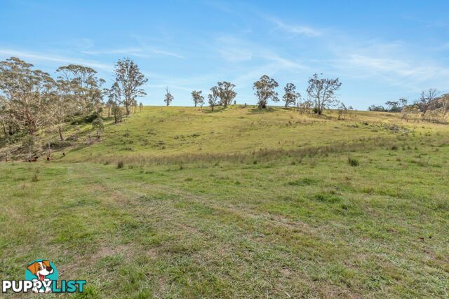 Lot 103 Old Bathurst Road SOUTH BOWENFELS NSW 2790