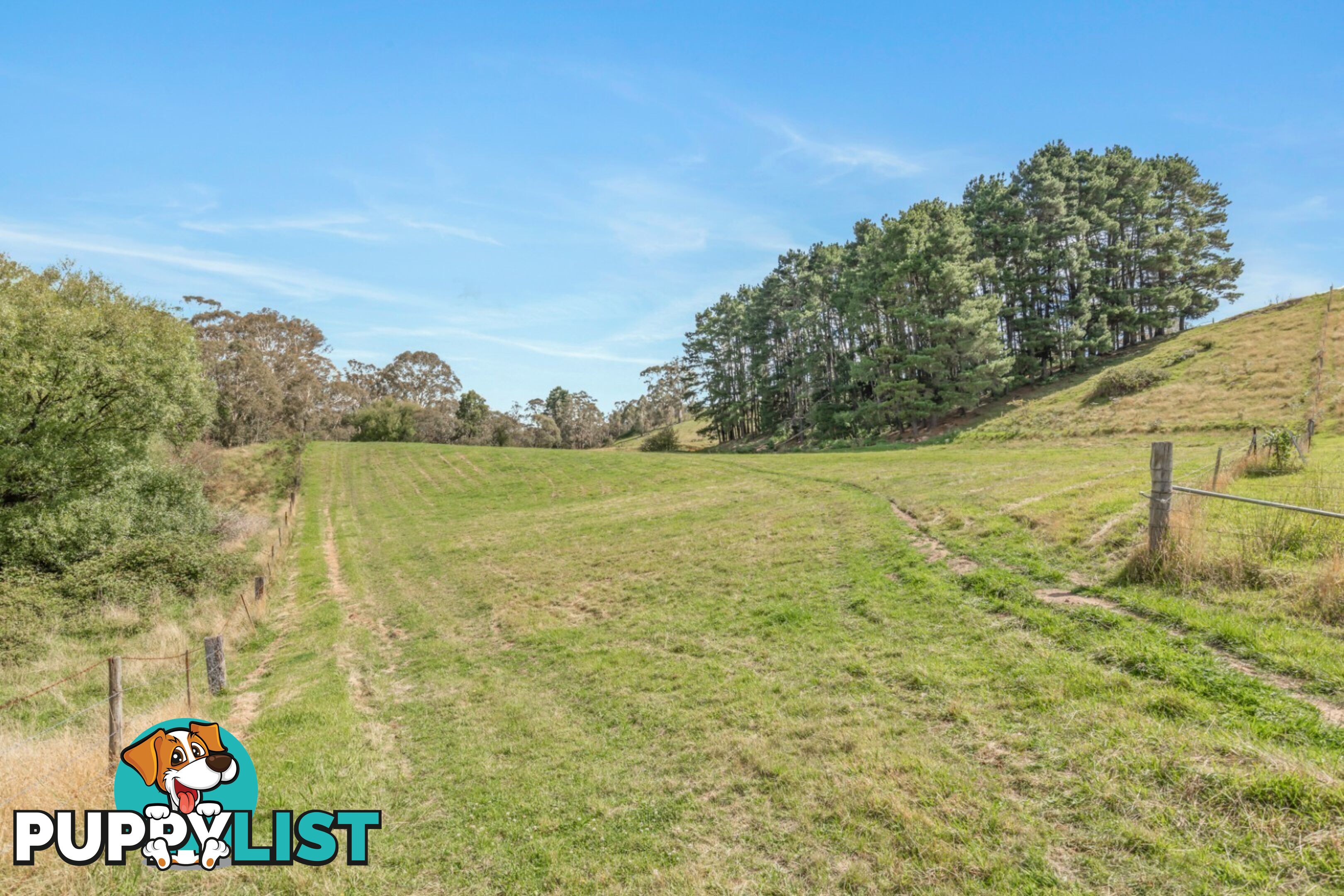 Lot 103 Old Bathurst Road SOUTH BOWENFELS NSW 2790